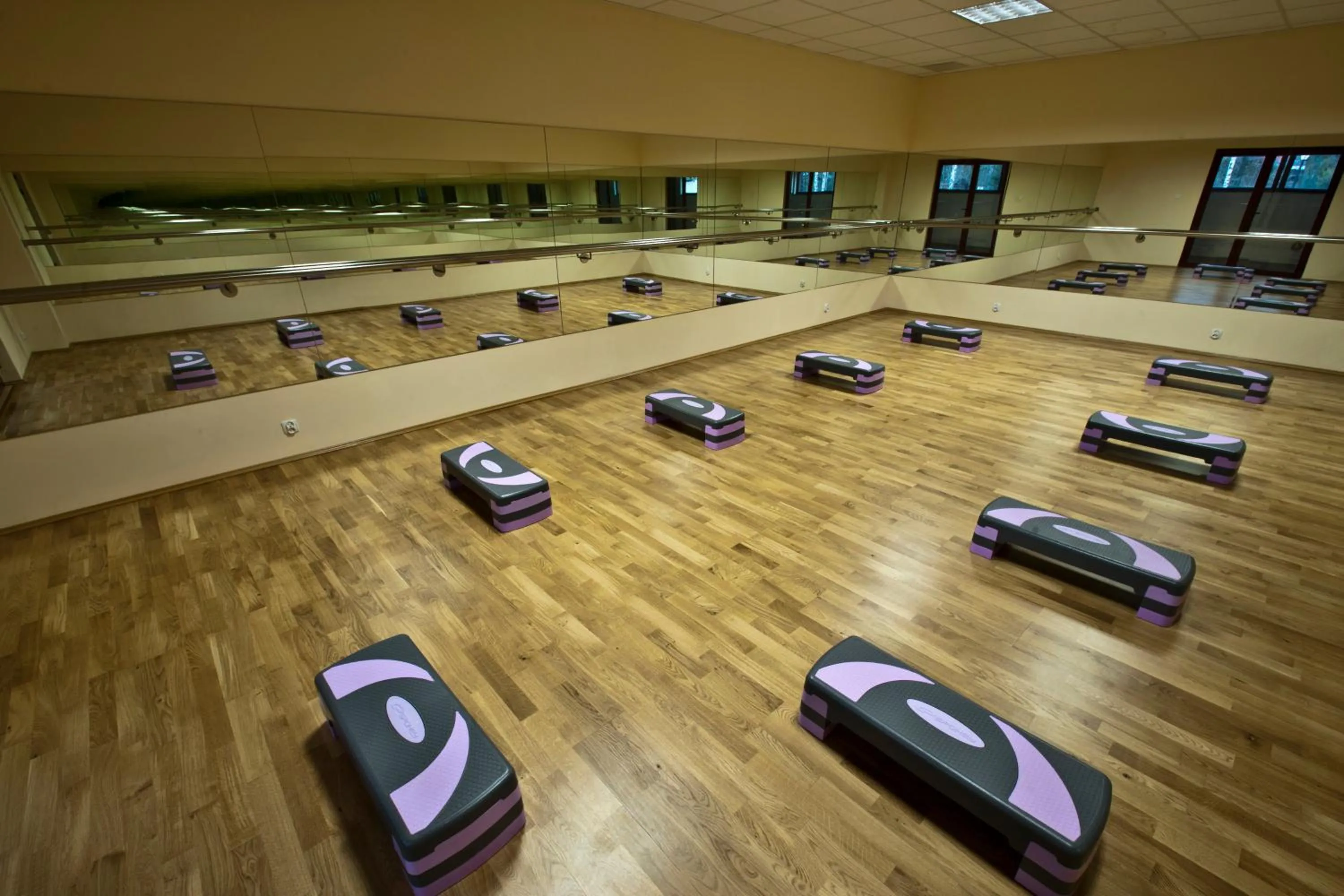 Spa and wellness centre/facilities in Hotel Venus