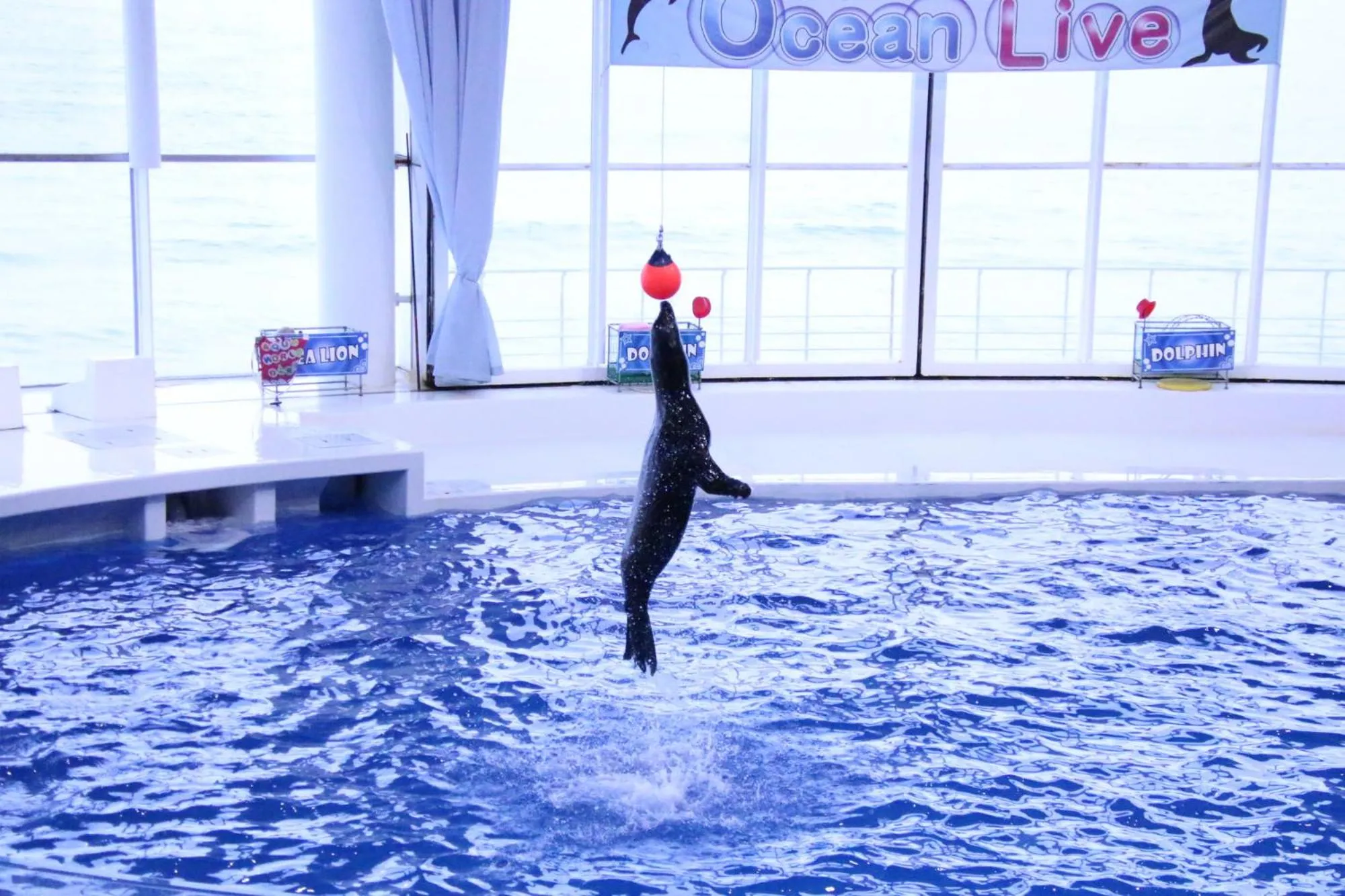 Nearby landmark in Tabist S hyde Park Koga Station