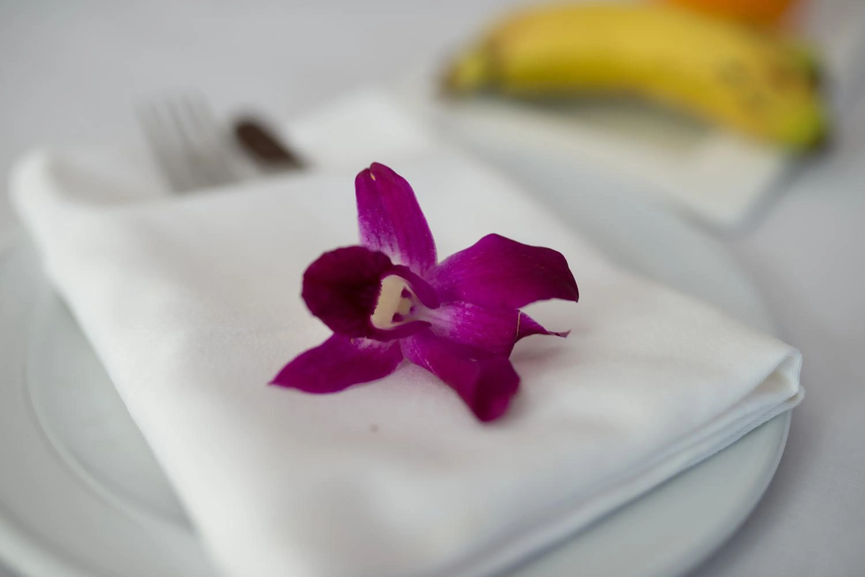 Other in Bella Vista Express Hotel