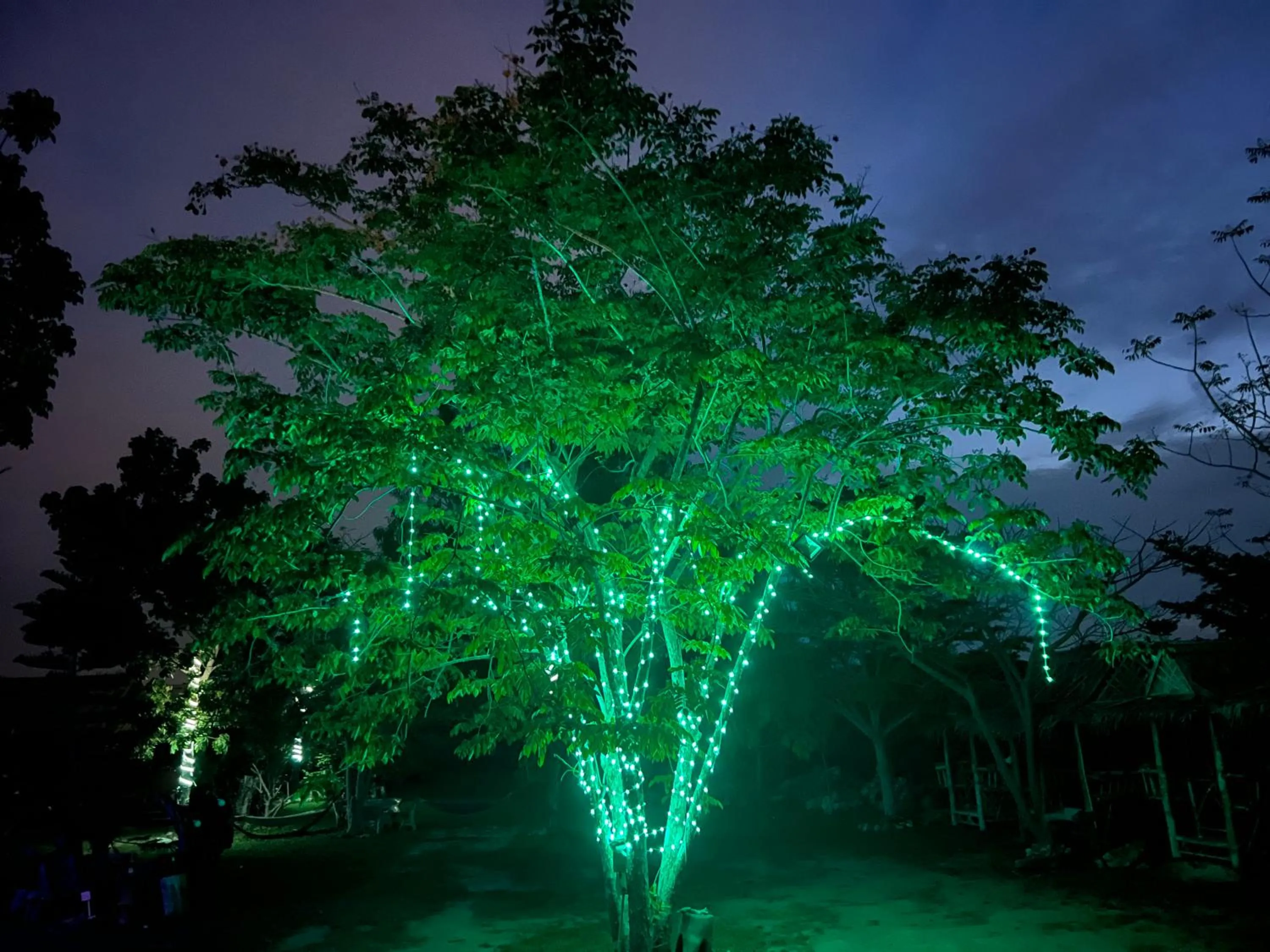 Jing Jo Boutique Bungalow