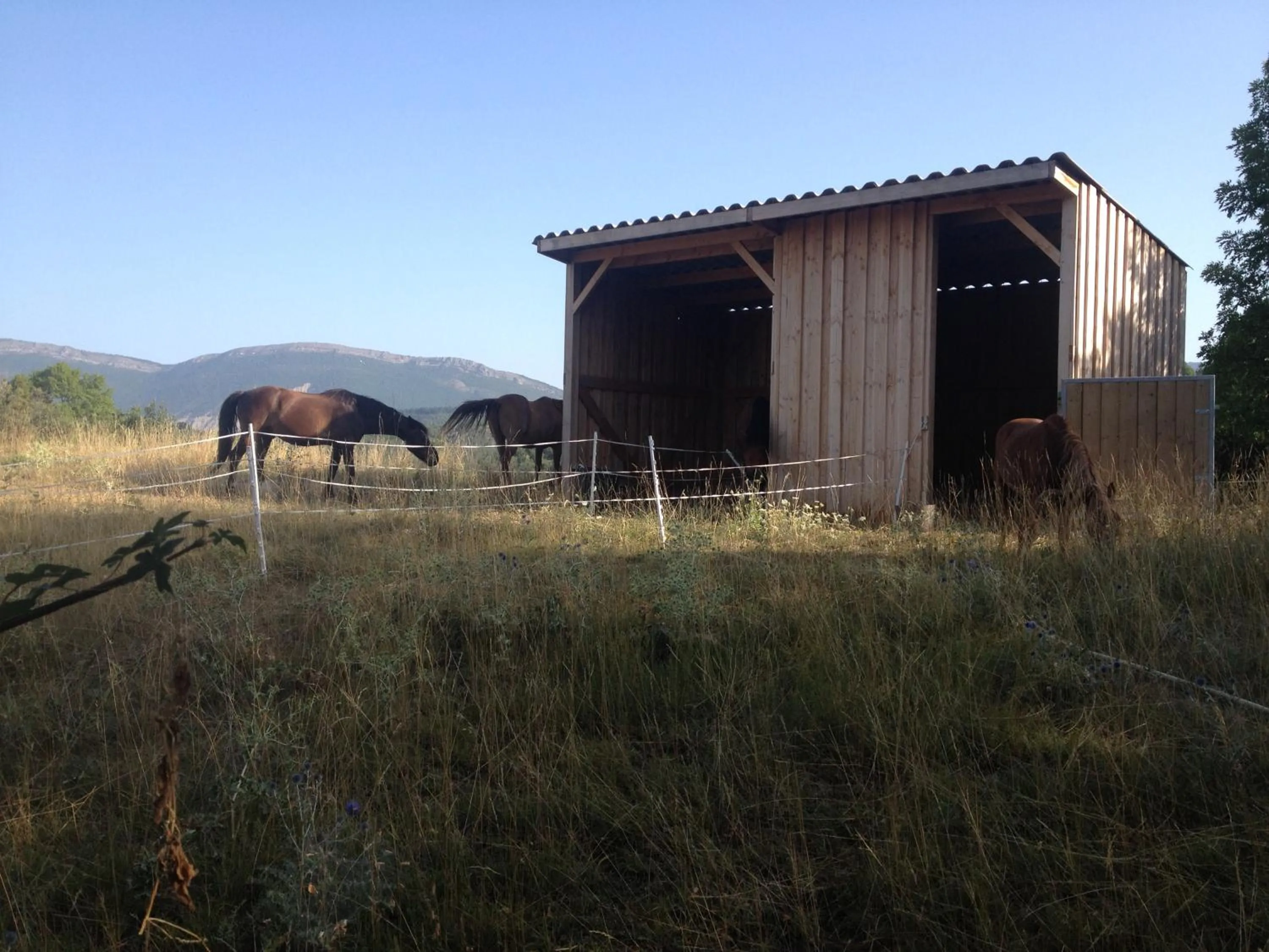 Property building in Chateau de Laric