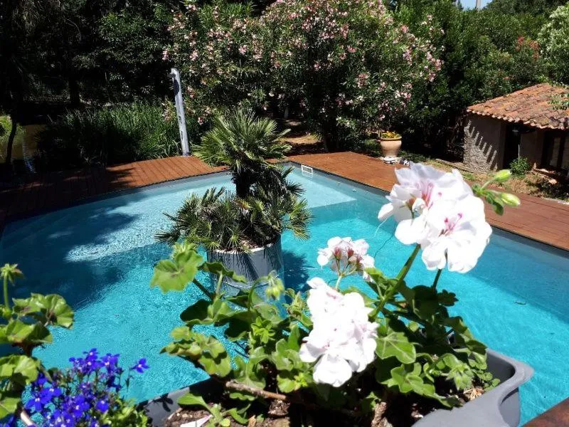 Swimming pool in Casa9 Hôtel