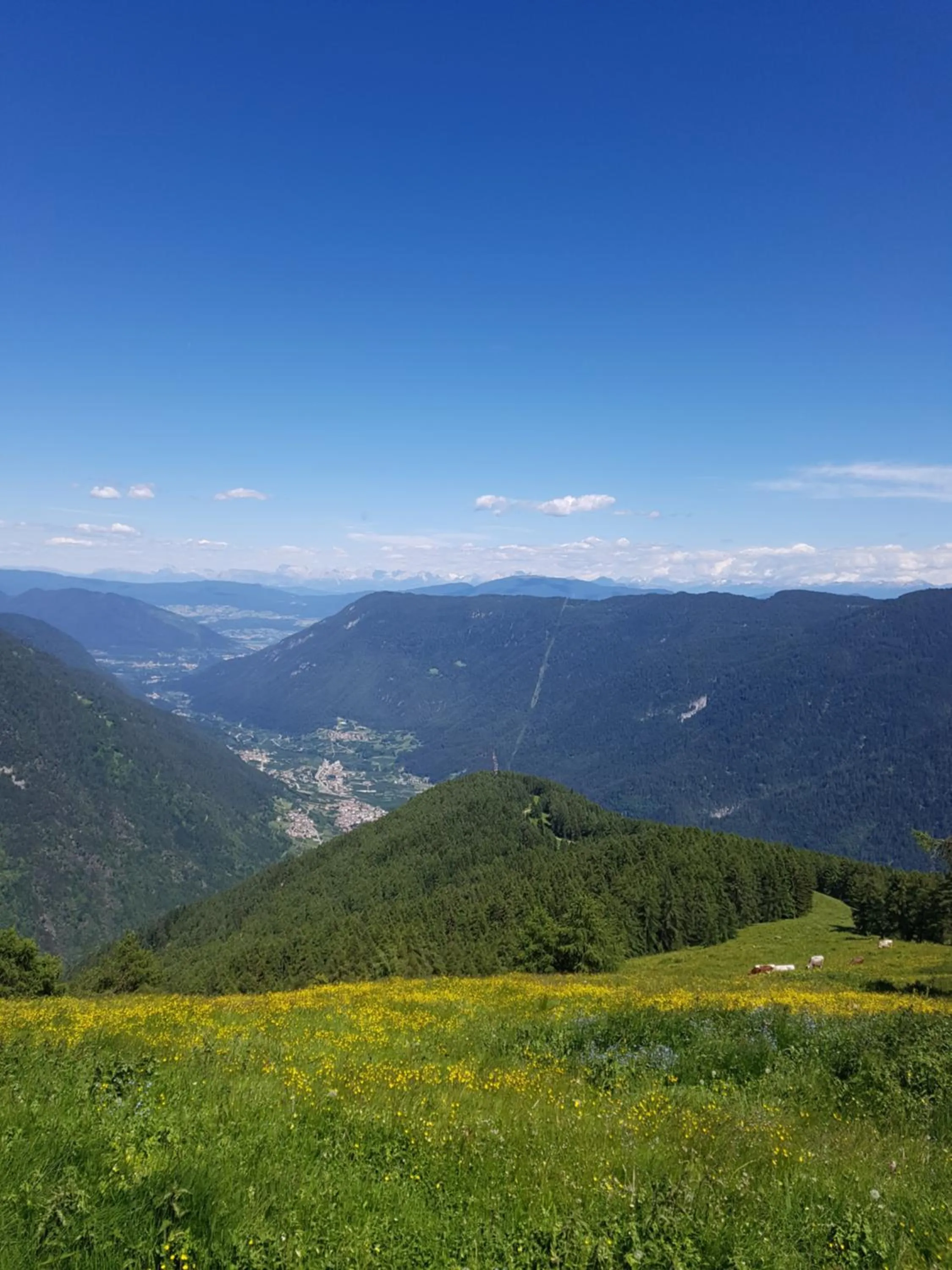 Spring in B&B Nido Delle Aquile