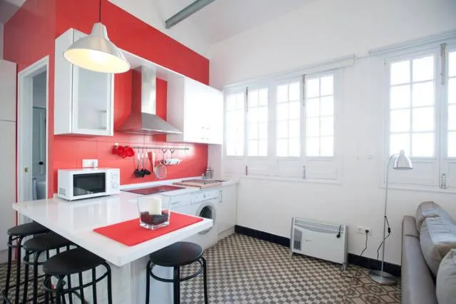 Kitchen or kitchenette in Apartamentos Calle Rosario