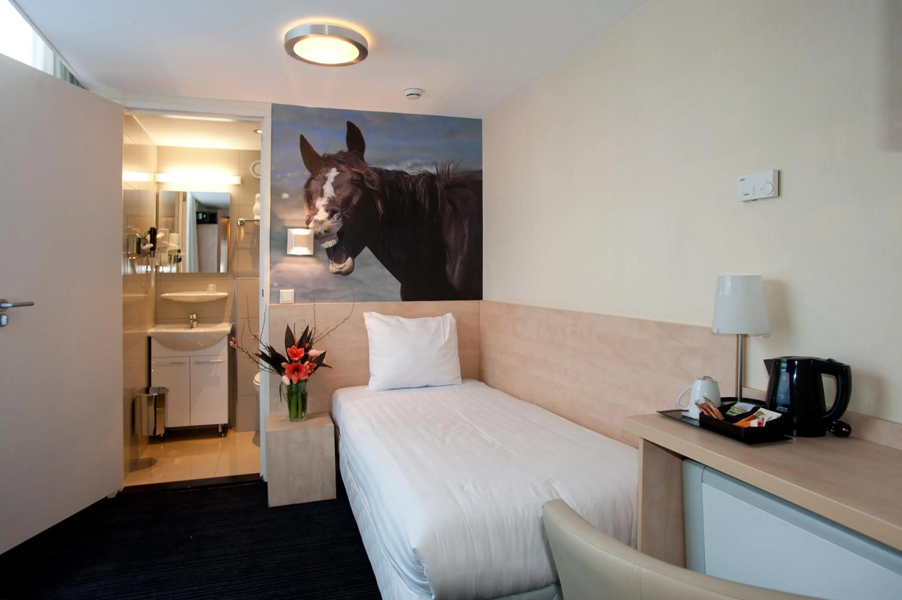 Photo of the whole room in Hotel Iron Horse Amsterdam