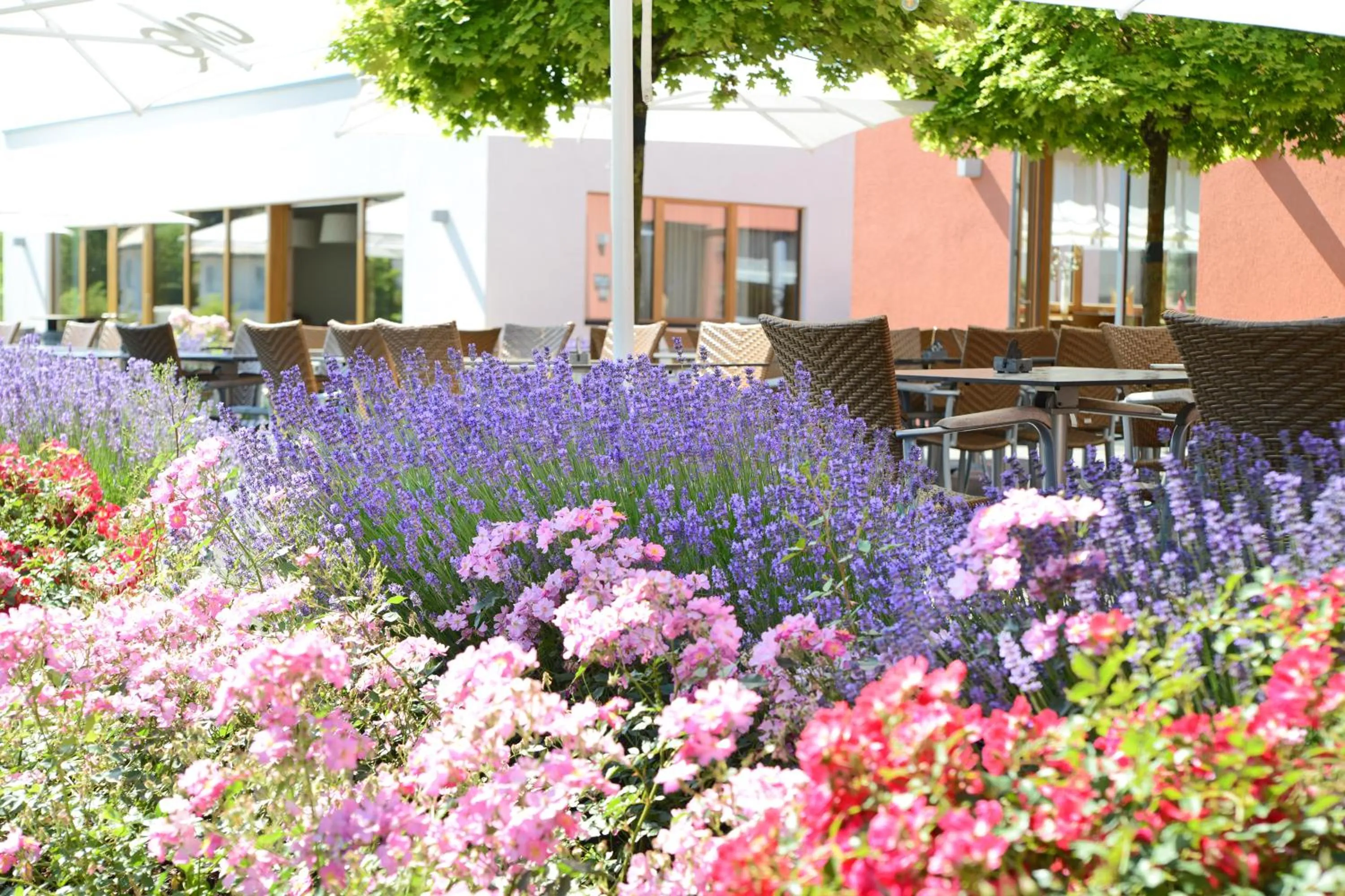 Restaurant/places to eat in WeinKulturgut Longen-Schlöder