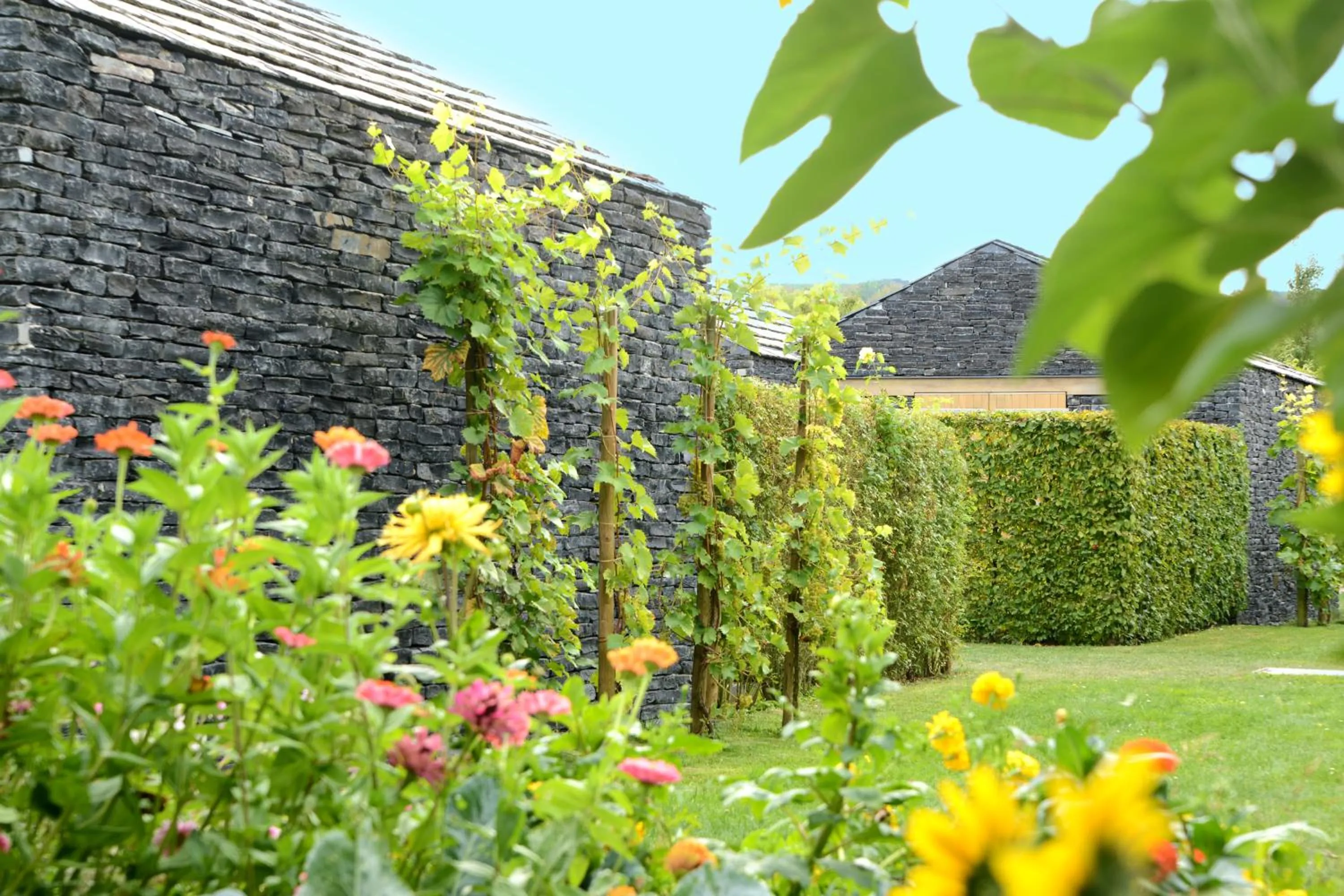 Garden in WeinKulturgut Longen-Schlöder