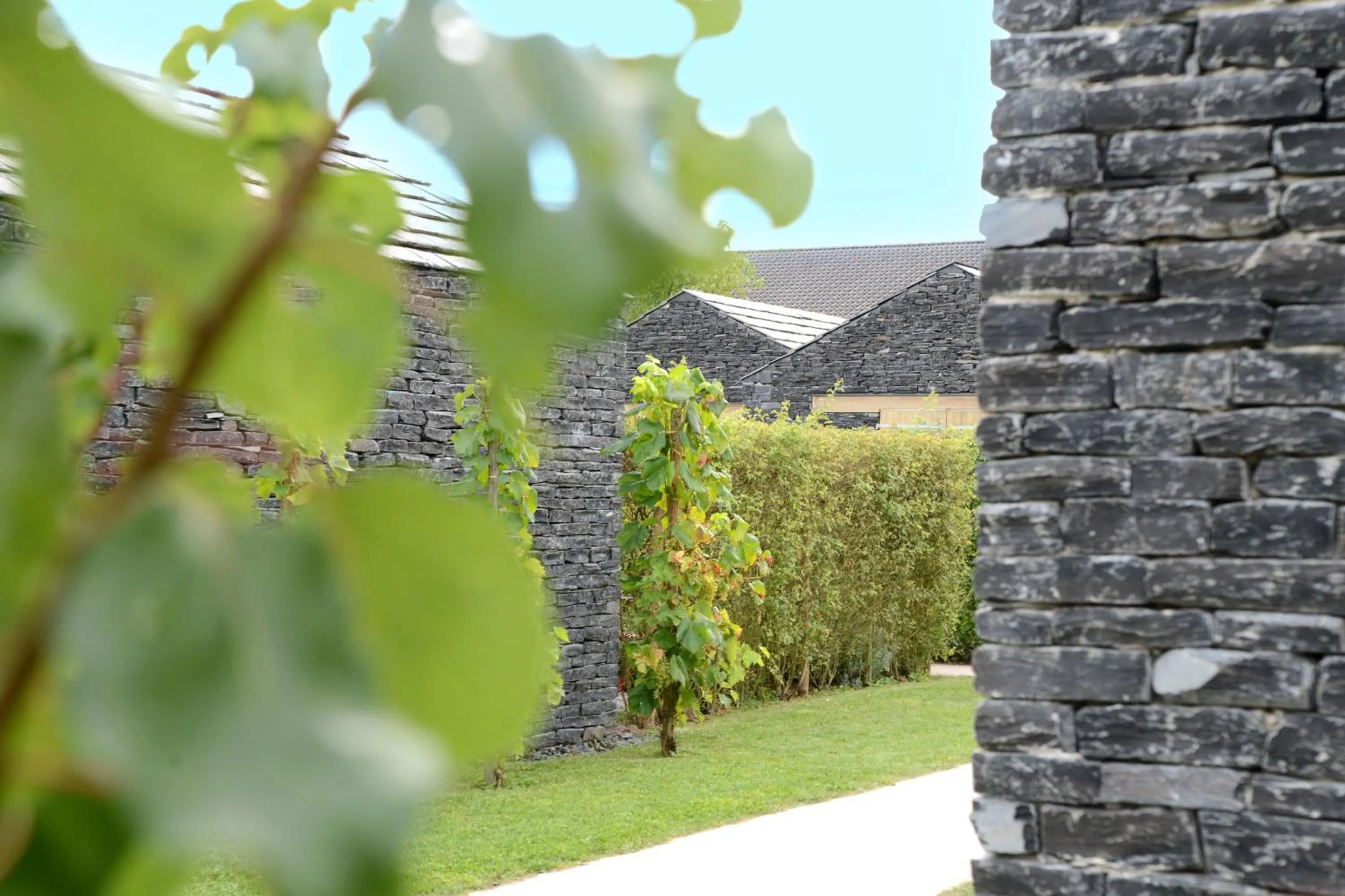 Garden in WeinKulturgut Longen-Schlöder