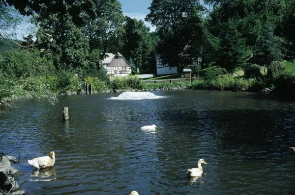 Natural landscape in Hotel Gut Vorwald