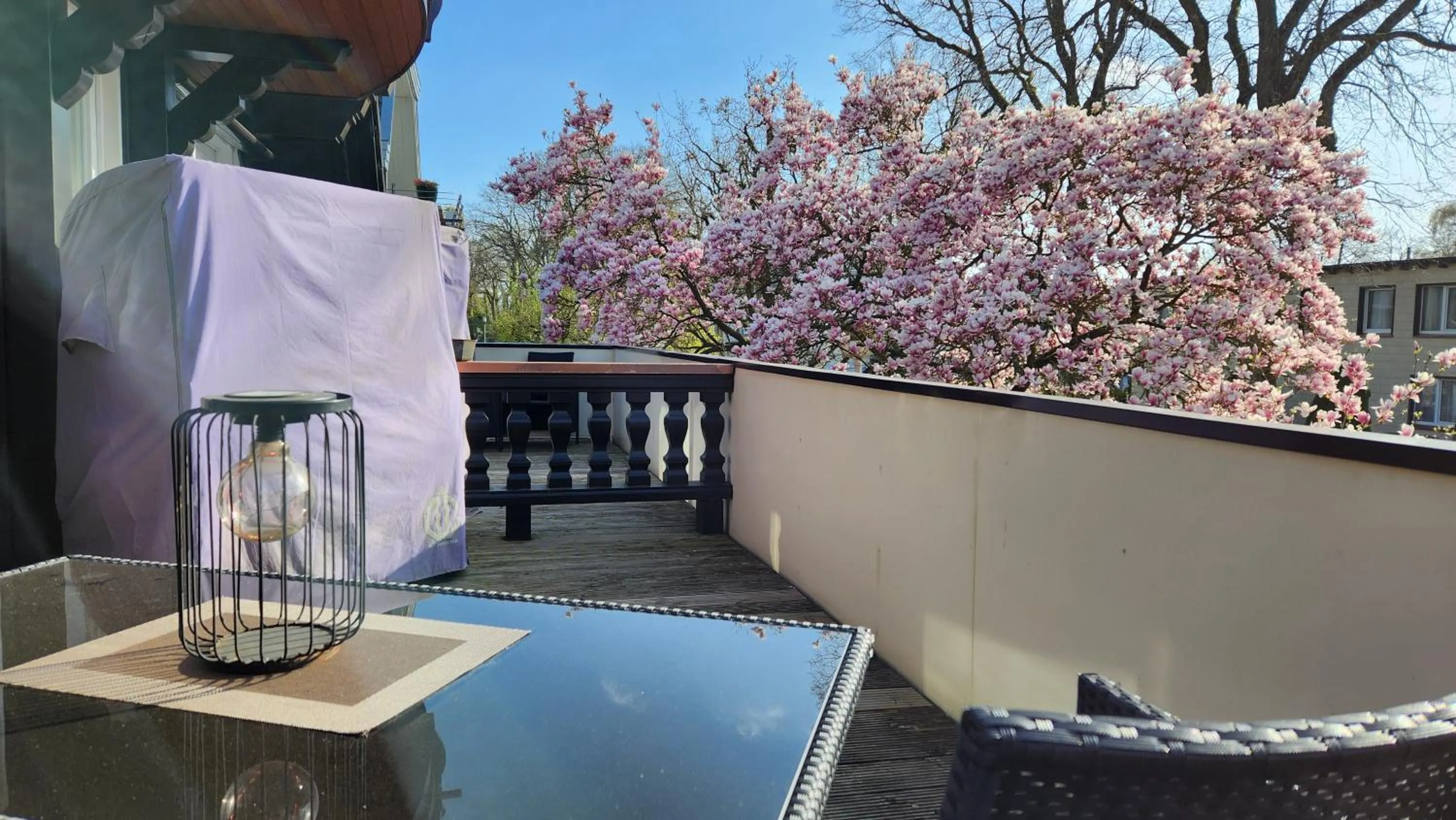 Spring in Villa am Park