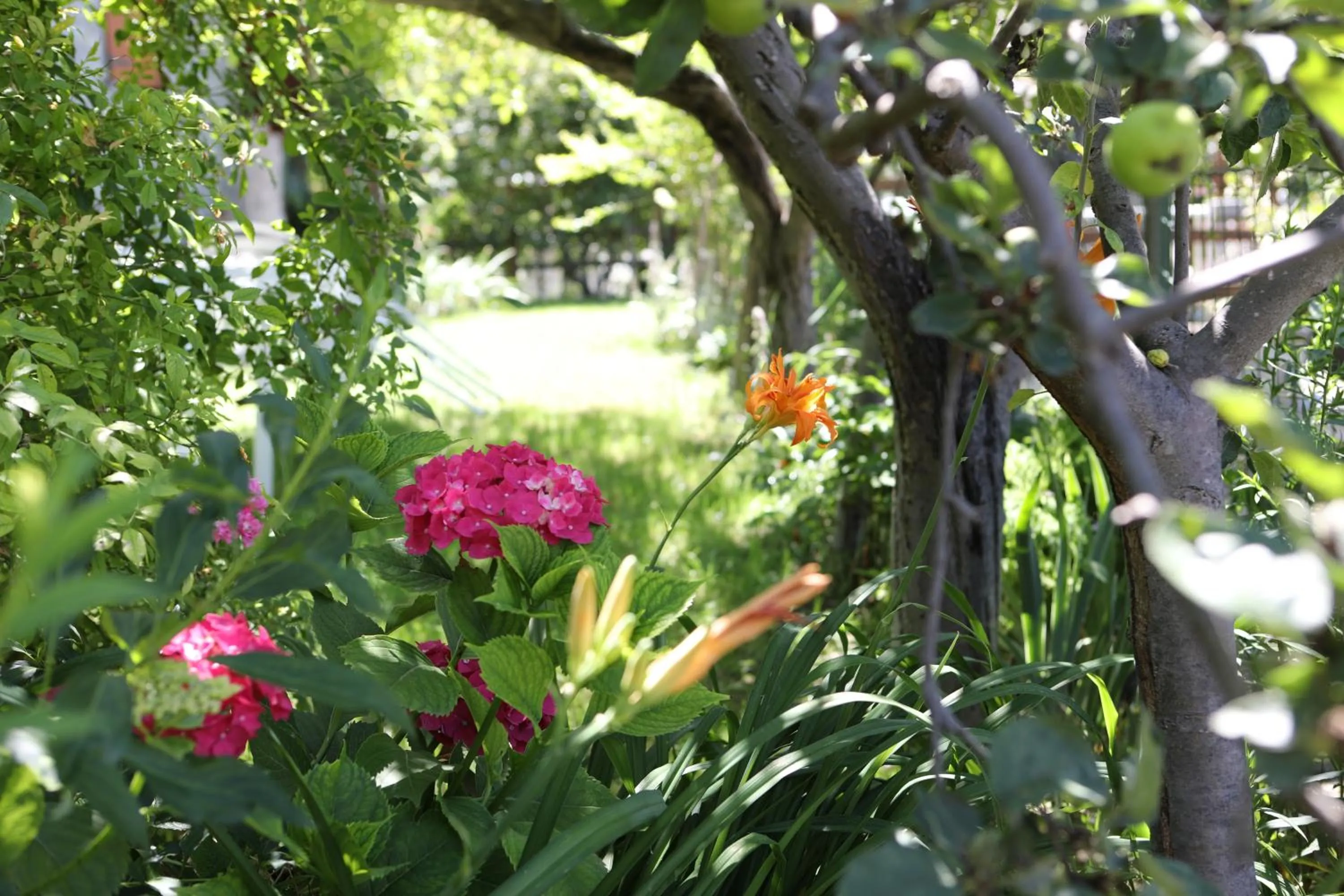 Garden in Le Rosier B&B e Appartamento