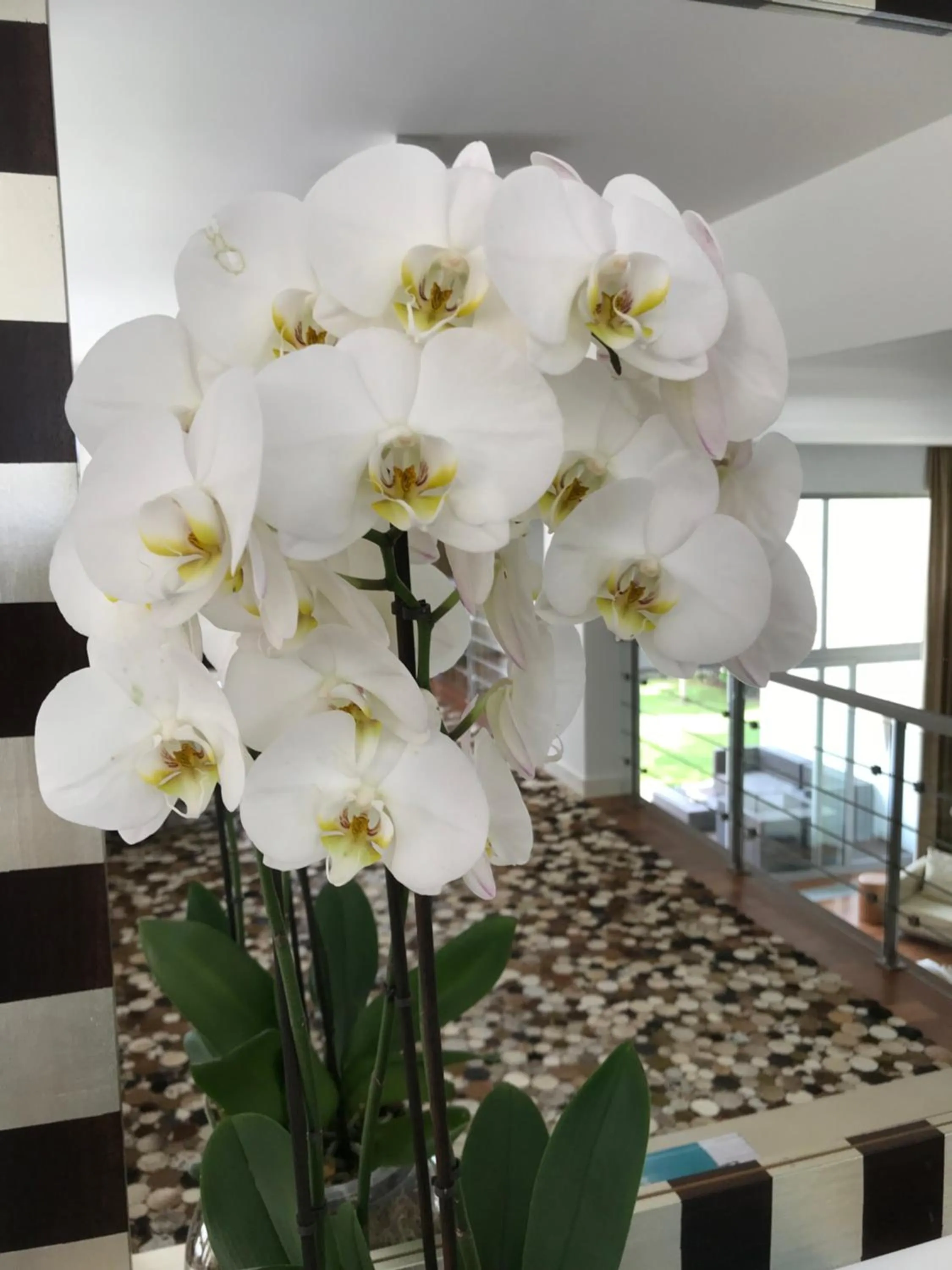 Decorative detail in Cascais Casa Laranja Guesthouse