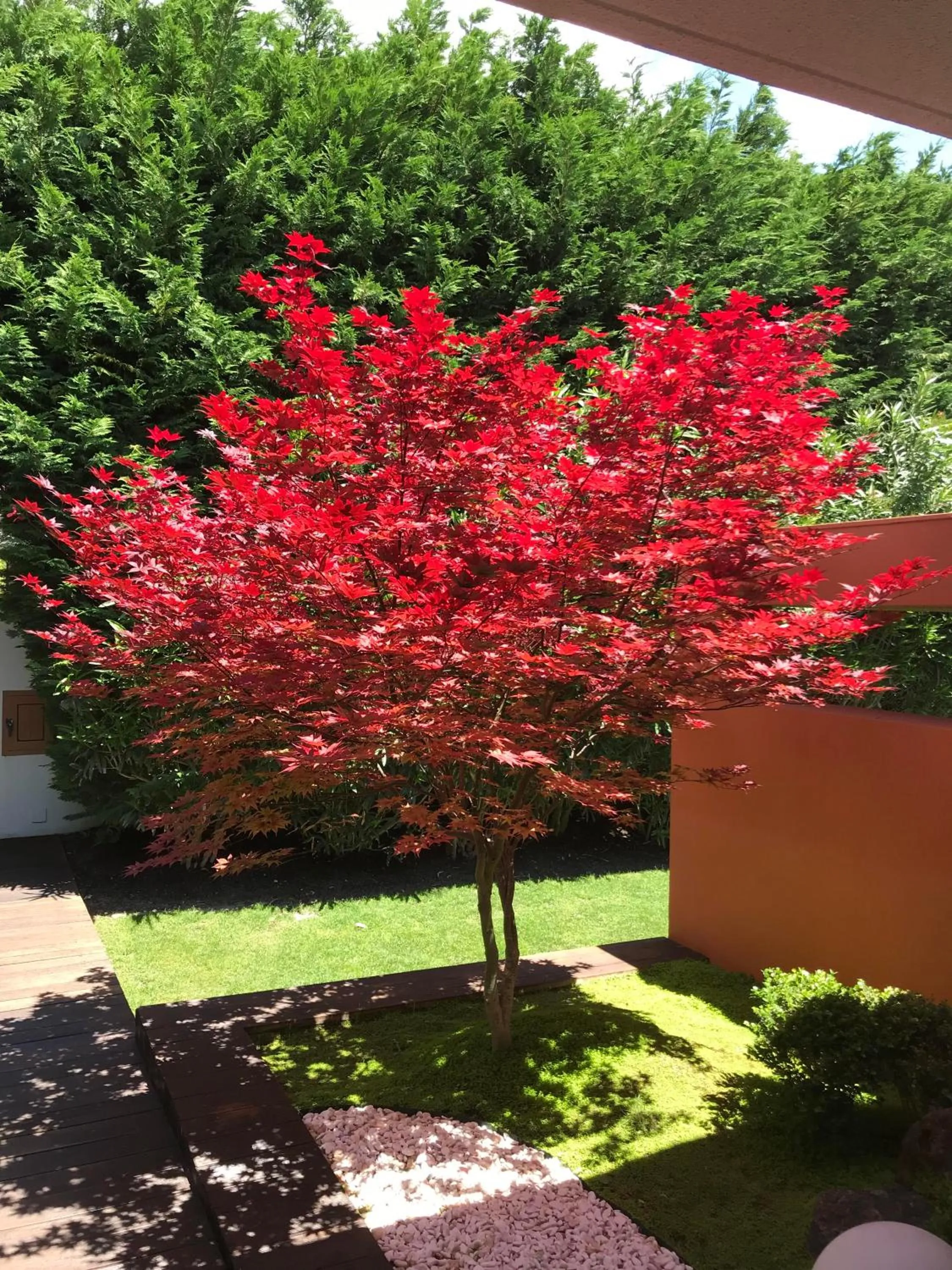 Property building in Cascais Casa Laranja Guesthouse