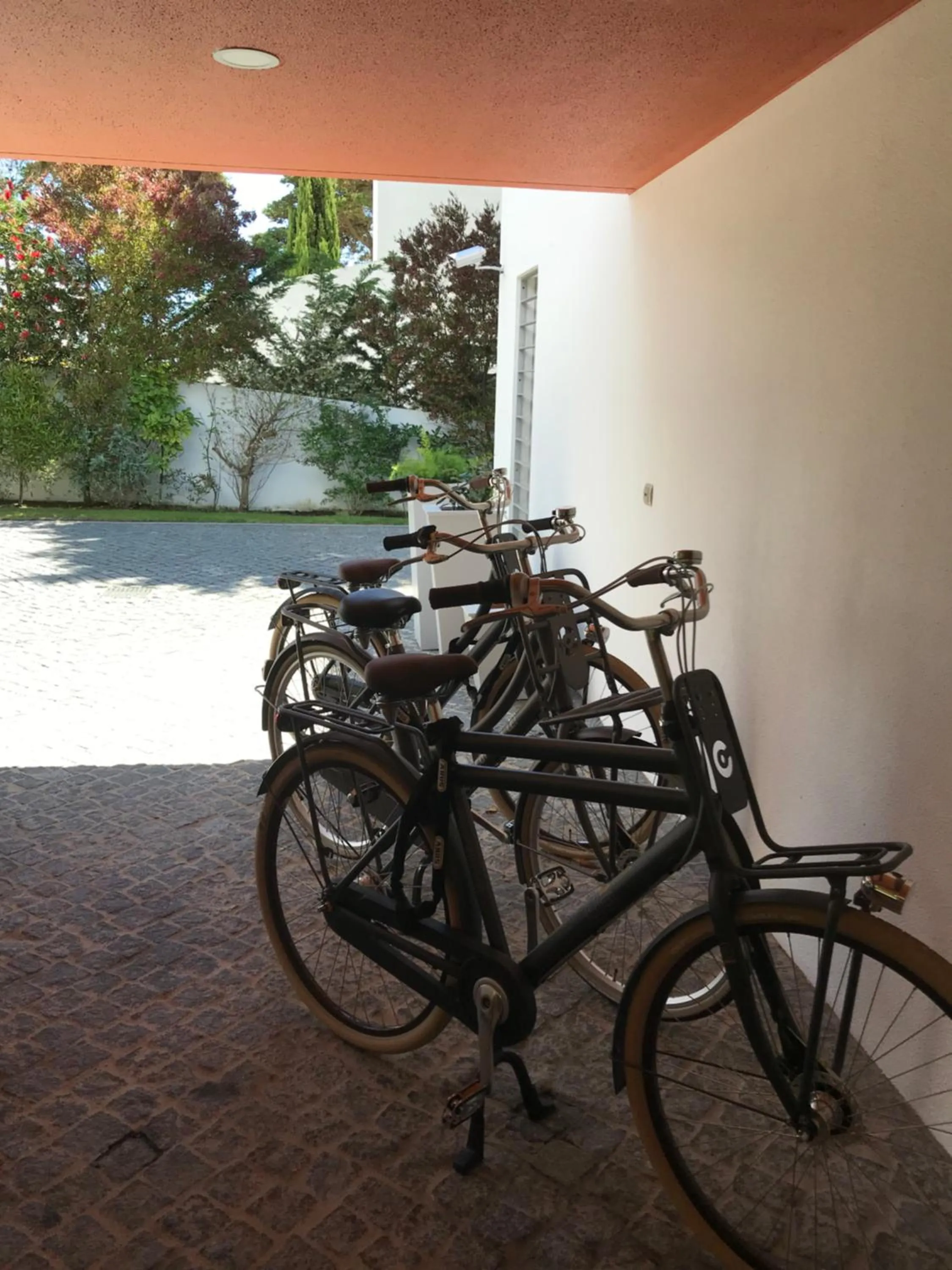 Activities in Cascais Casa Laranja Guesthouse