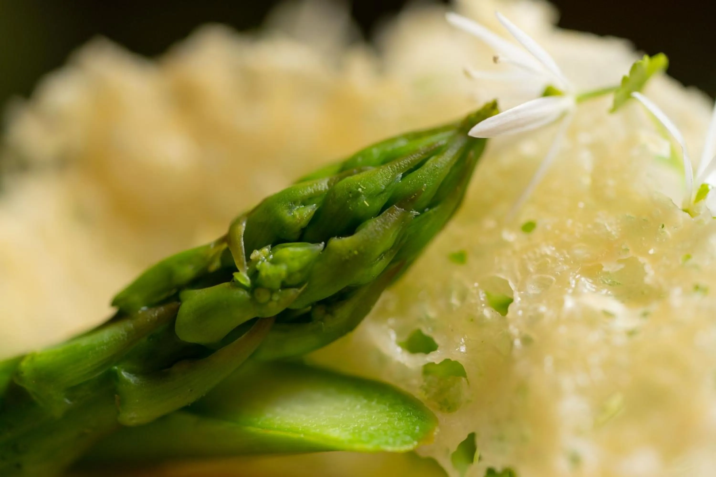 Restaurant/places to eat in No11 Boutique Hotel & Brasserie