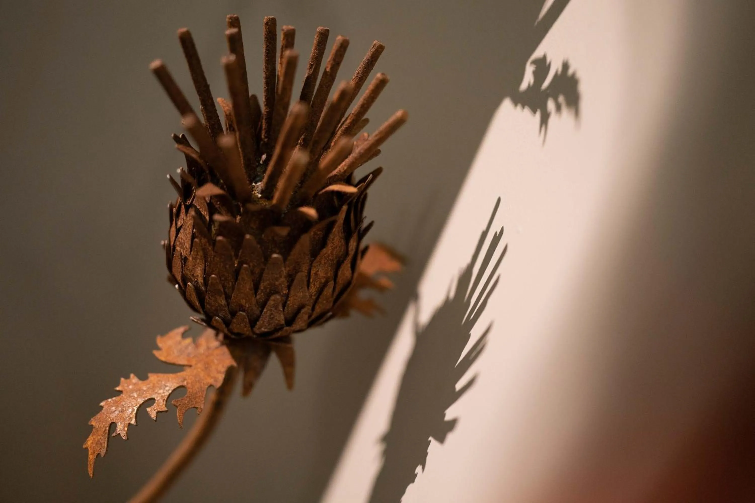 Facade/entrance in No11 Boutique Hotel & Brasserie