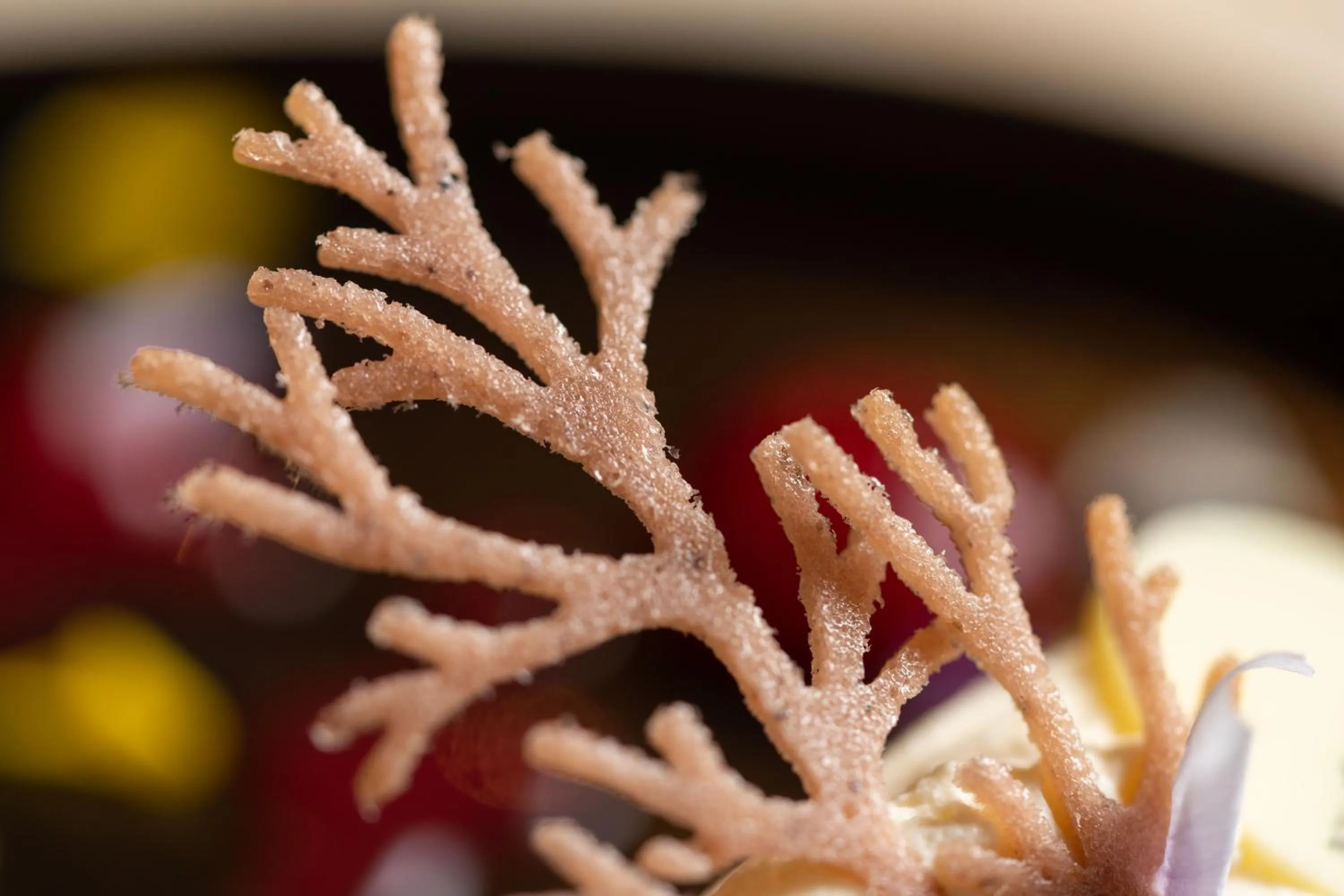 Restaurant/places to eat in No11 Boutique Hotel & Brasserie