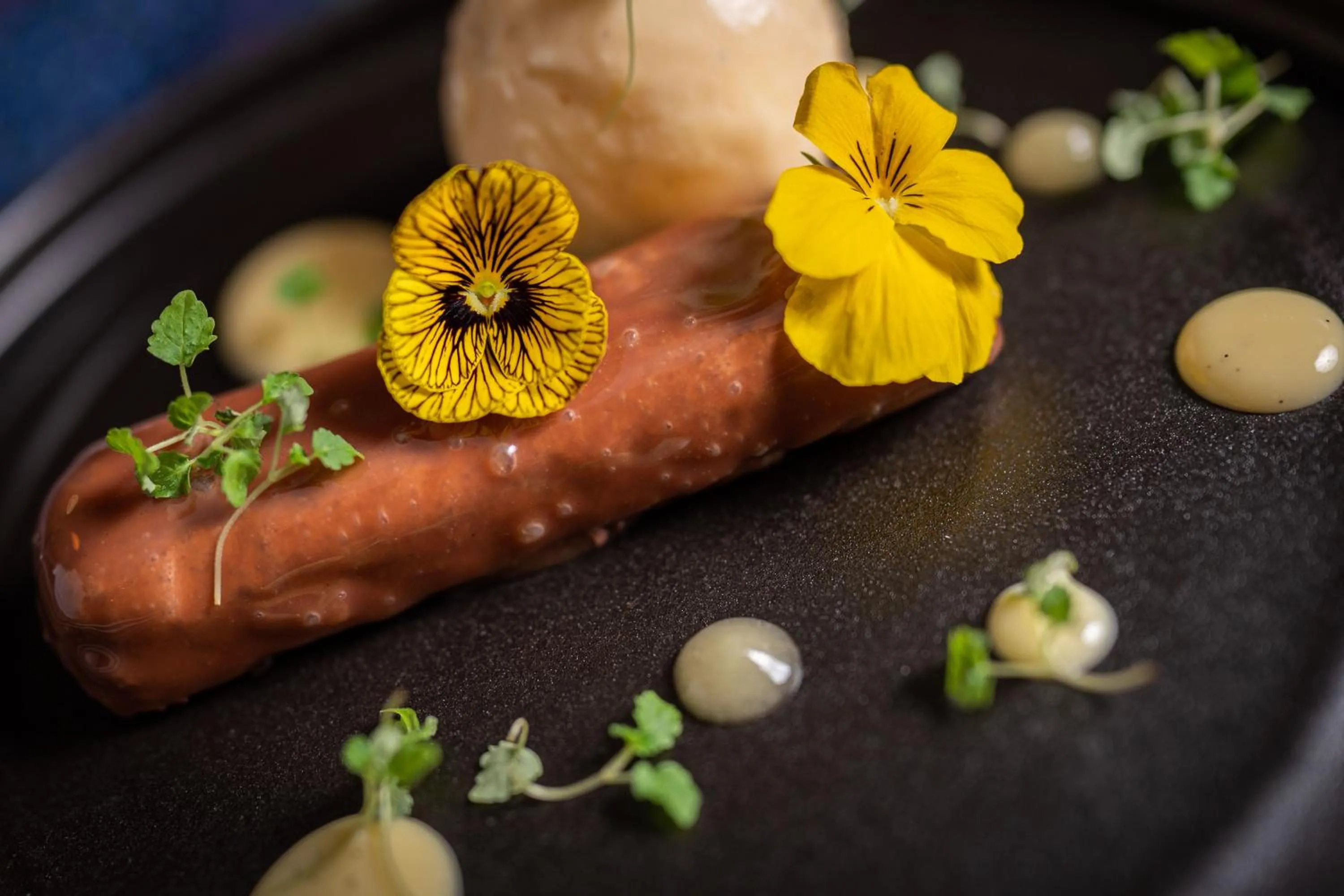 Food and drinks in No11 Boutique Hotel & Brasserie