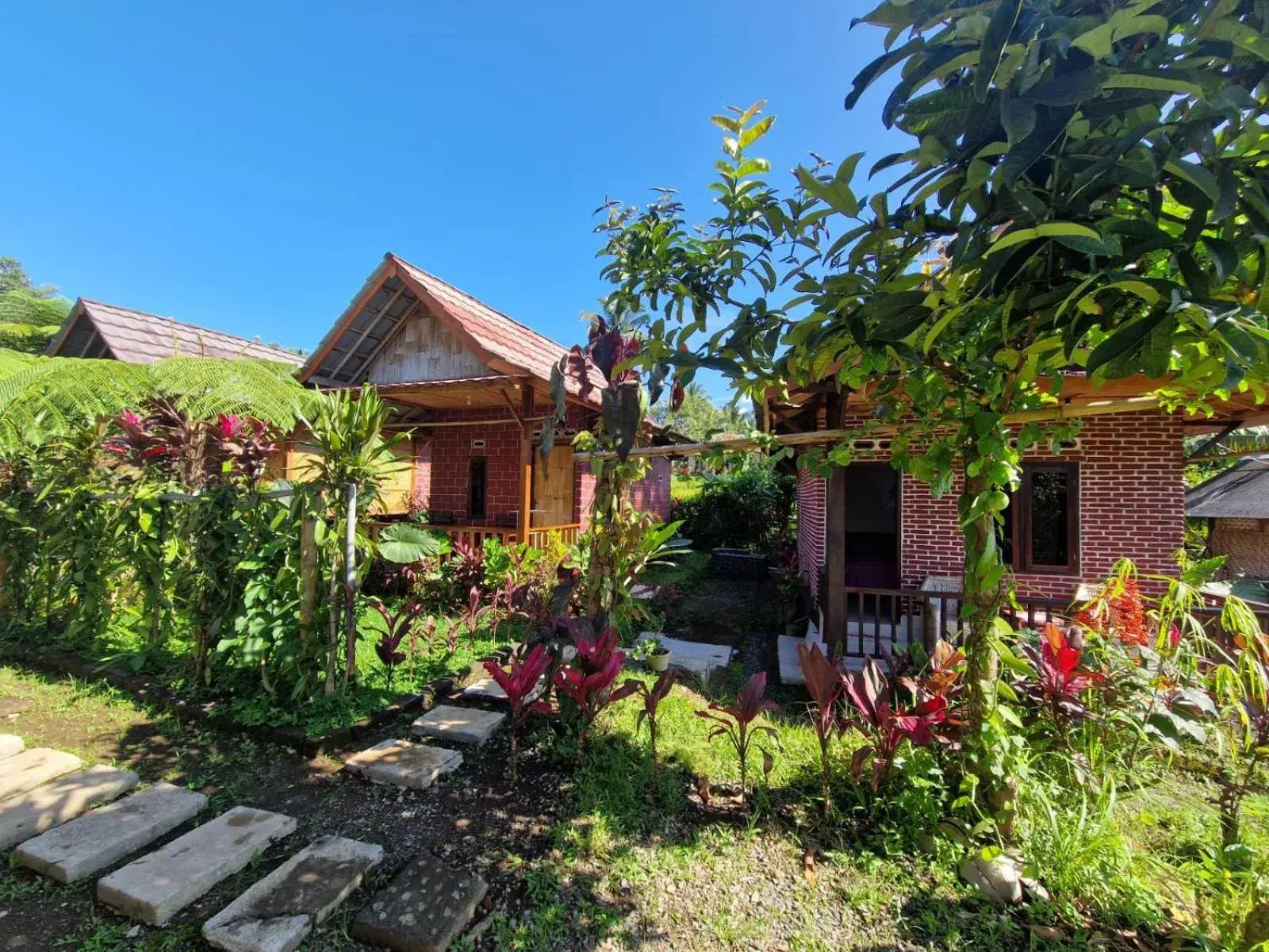 Double Room in Ariel Bungalow Tetebatu Double Room in Ariel Bungalow Tetebatu
