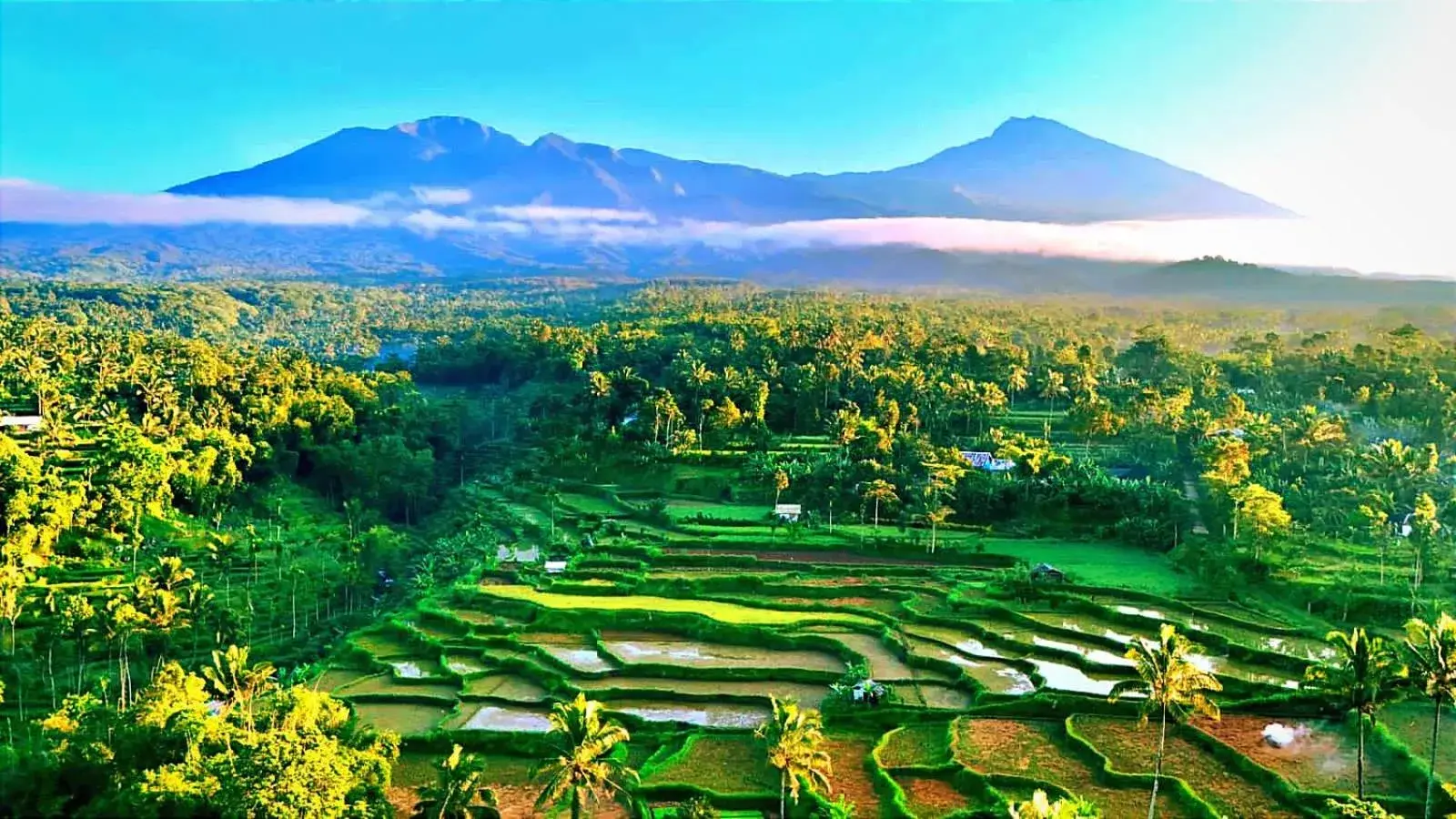 Ariel Bungalow Tetebatu Ariel Bungalow Tetebatu