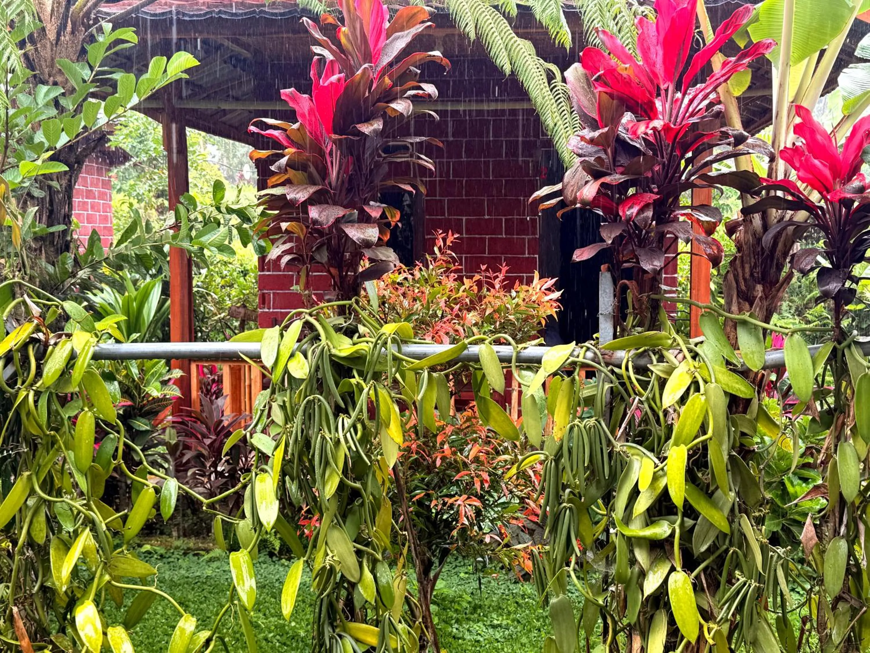 Ariel Bungalow Tetebatu