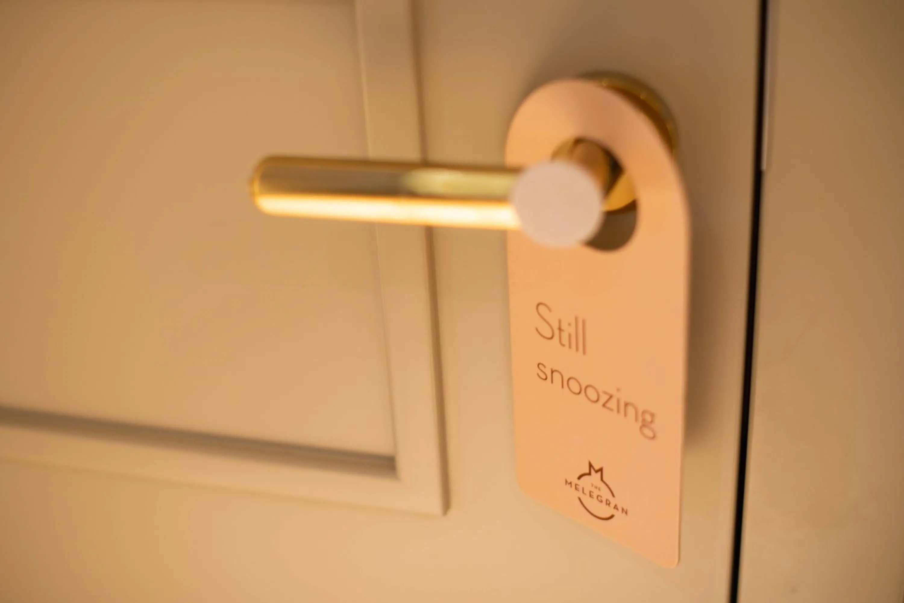 Decorative detail in The Melegran