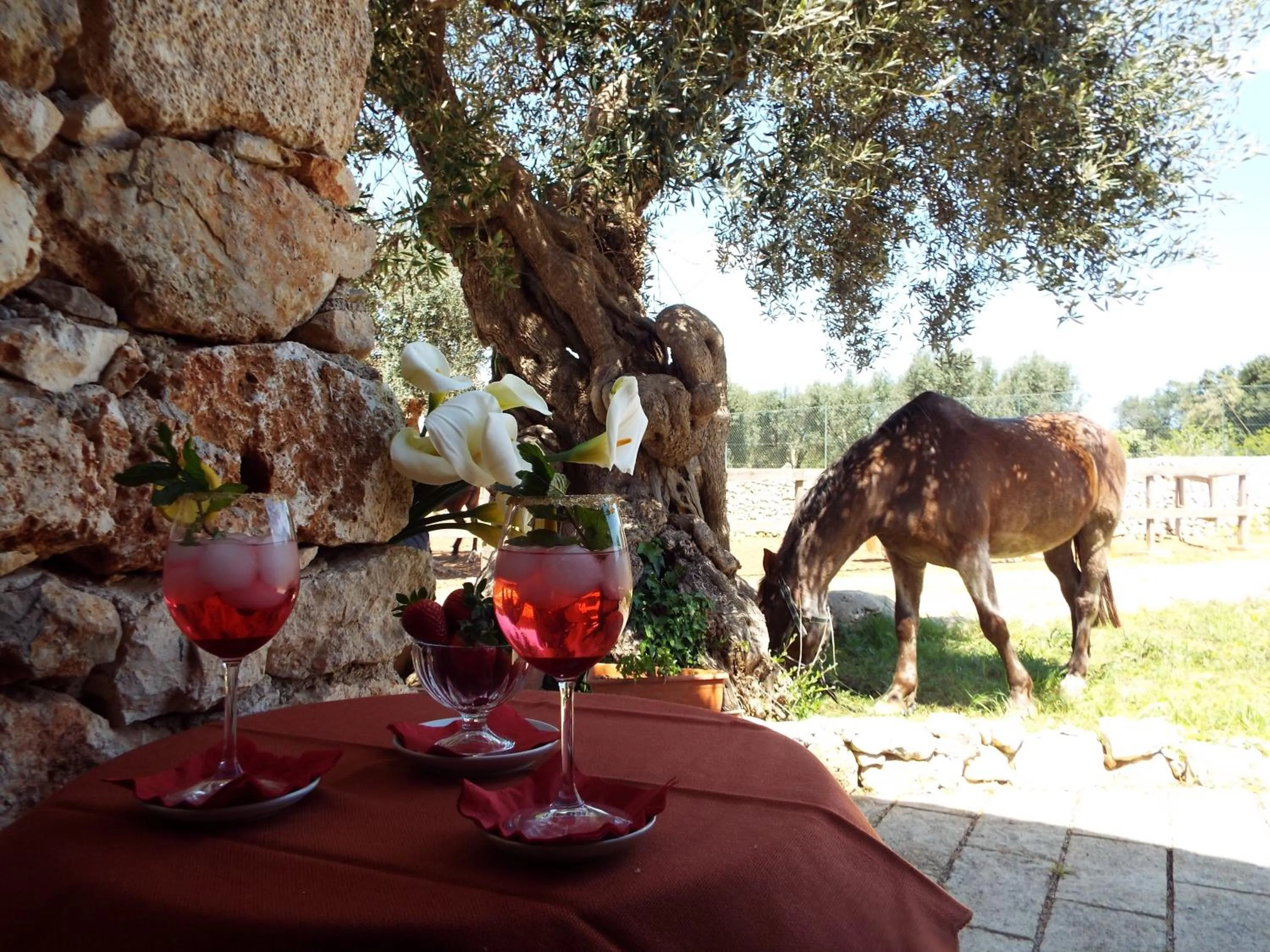 Garden in Delle Rose, Hotel & Horse Riding