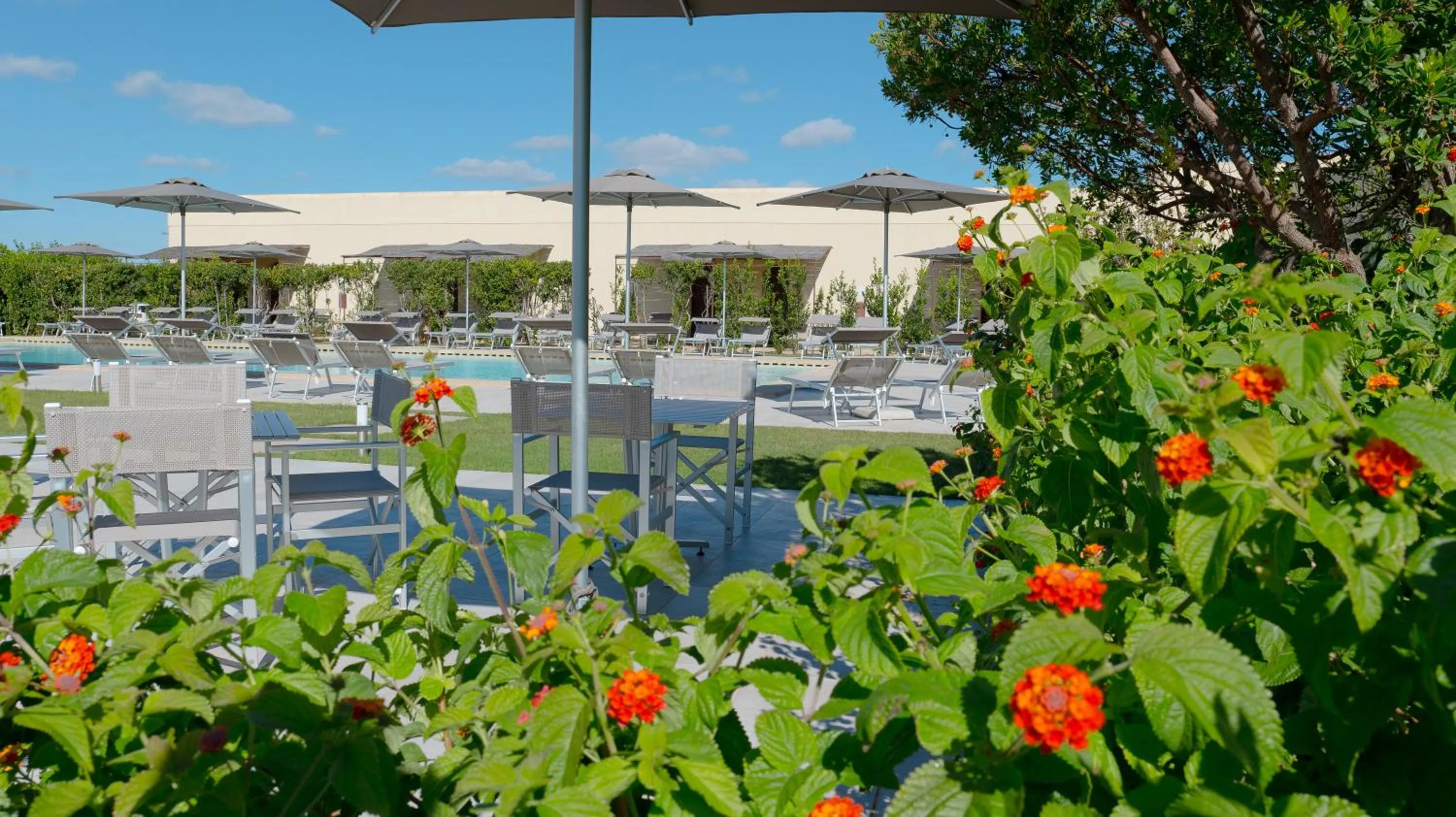 Swimming pool in Delle Rose, Hotel & Horse Riding