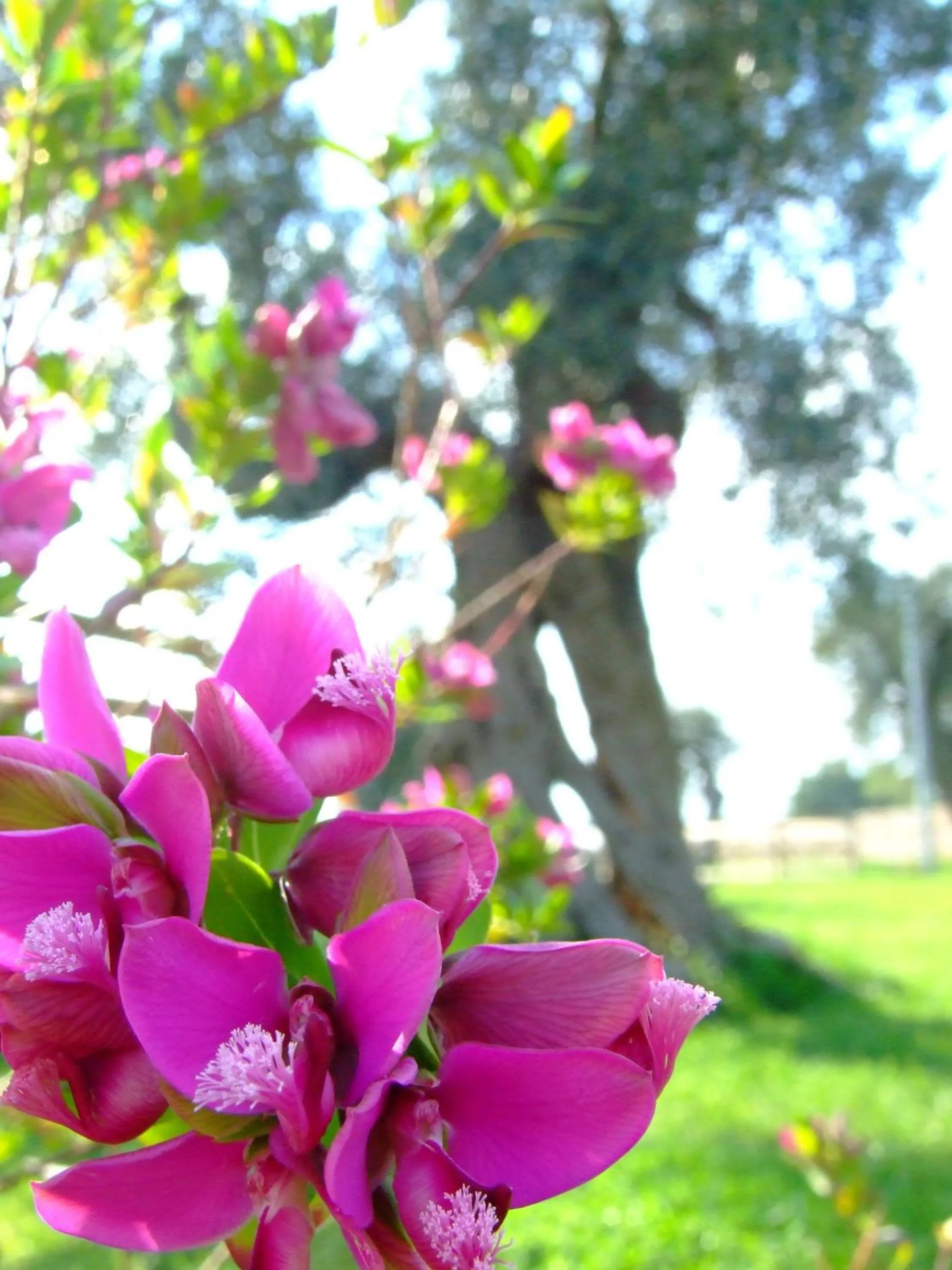 Facade/entrance in Delle Rose, Hotel & Horse Riding