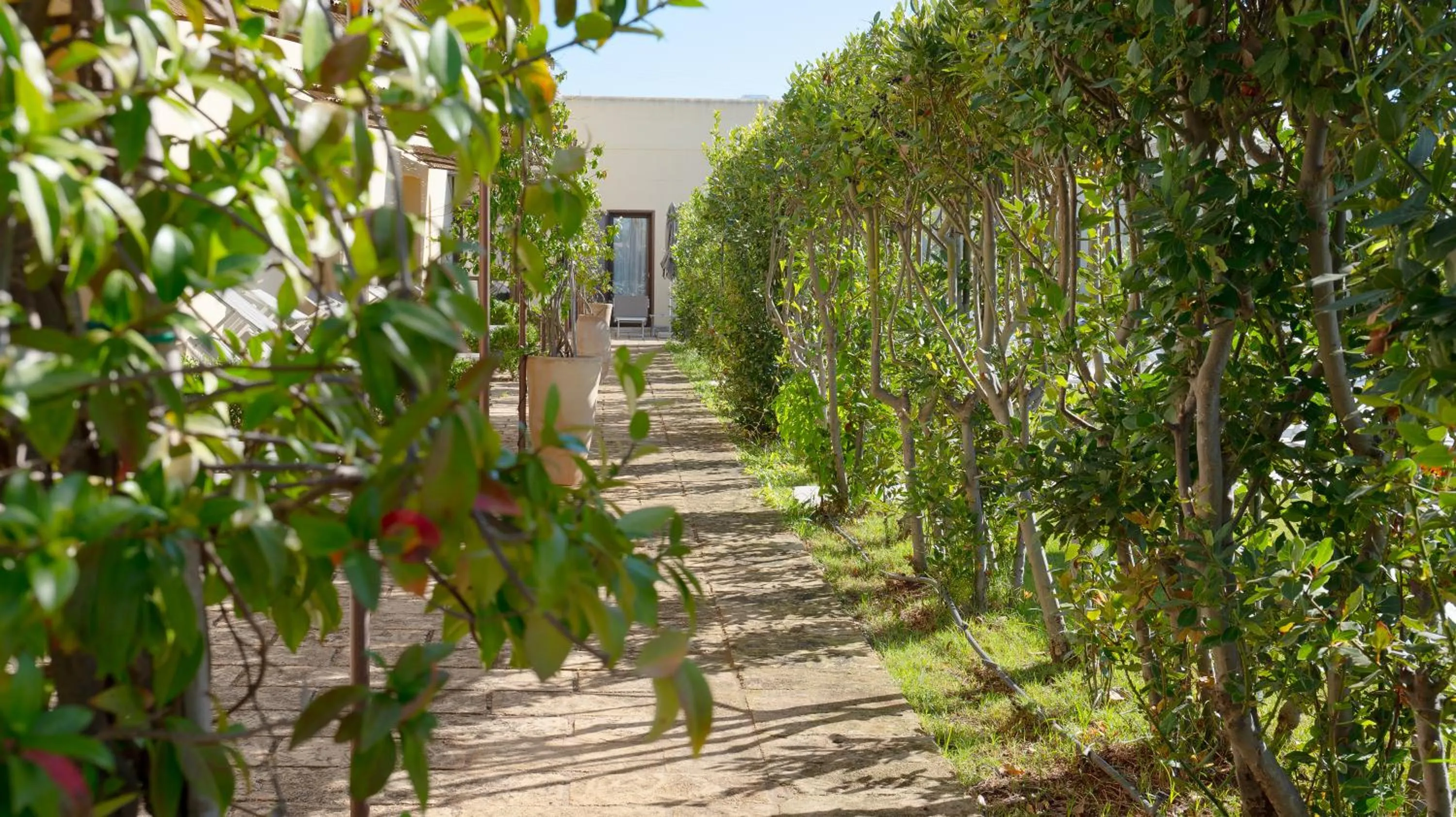 Property building in Delle Rose, Hotel & Horse Riding