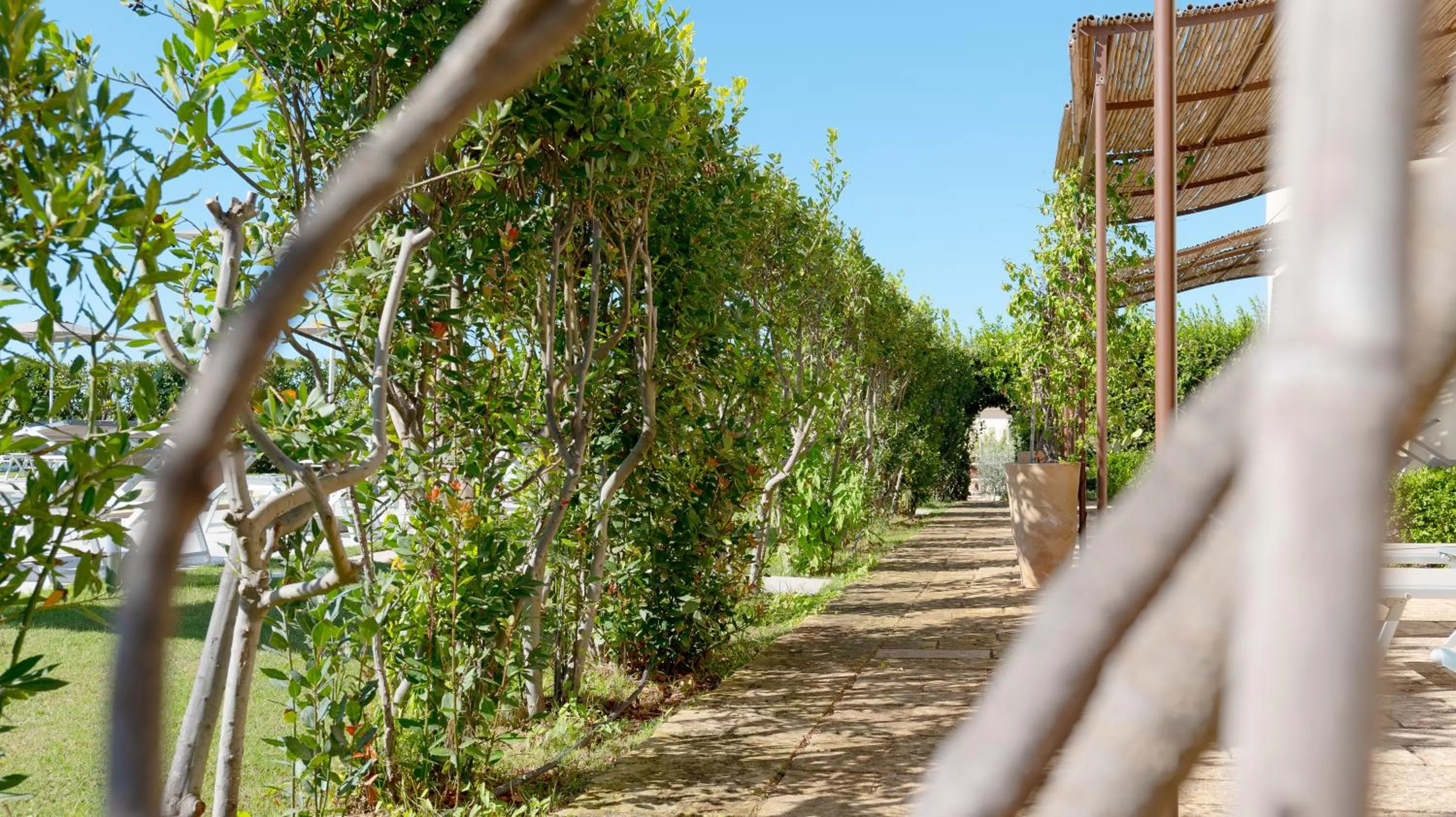 Property building in Delle Rose, Hotel & Horse Riding