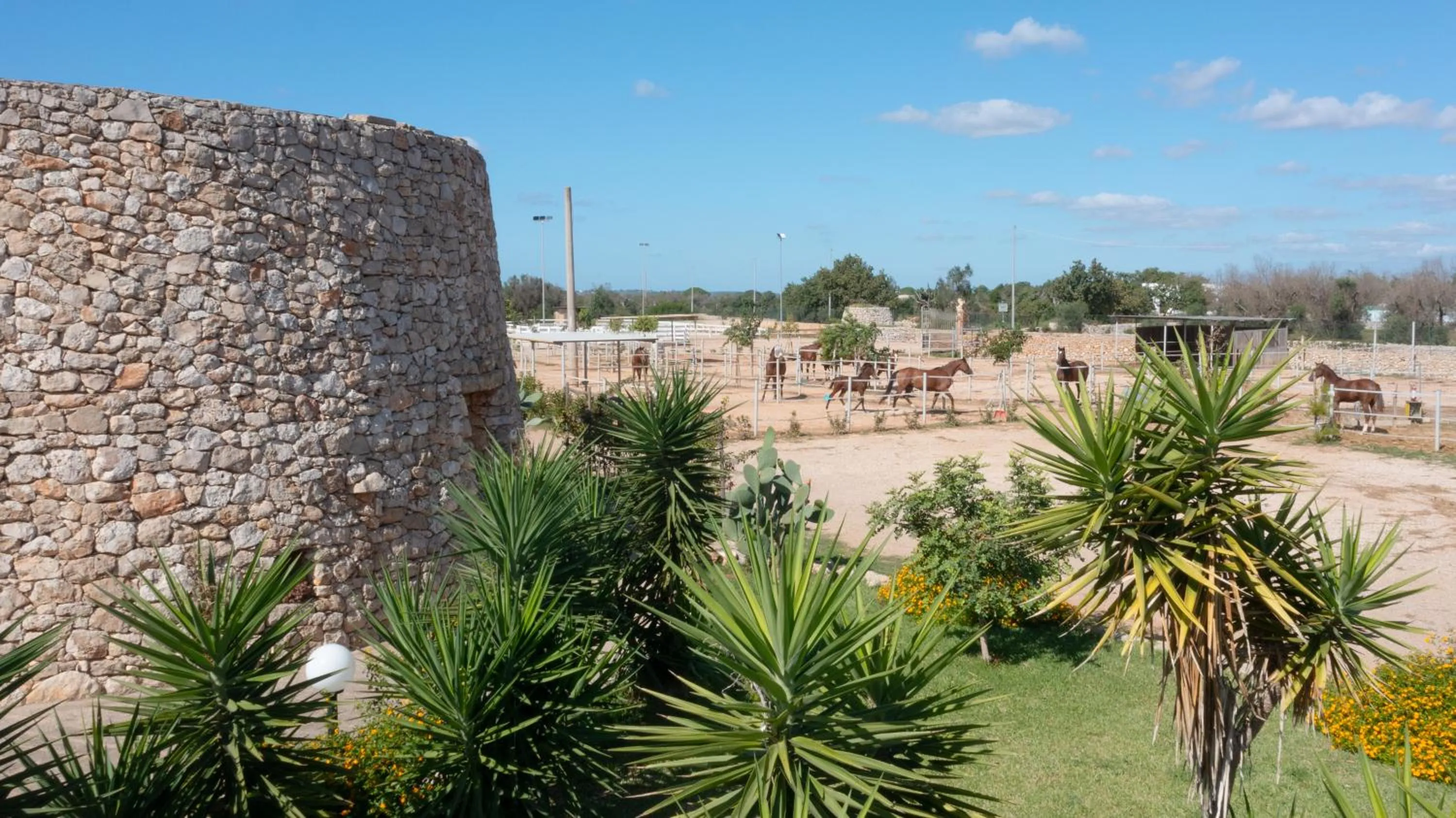 Property building in Delle Rose, Hotel & Horse Riding