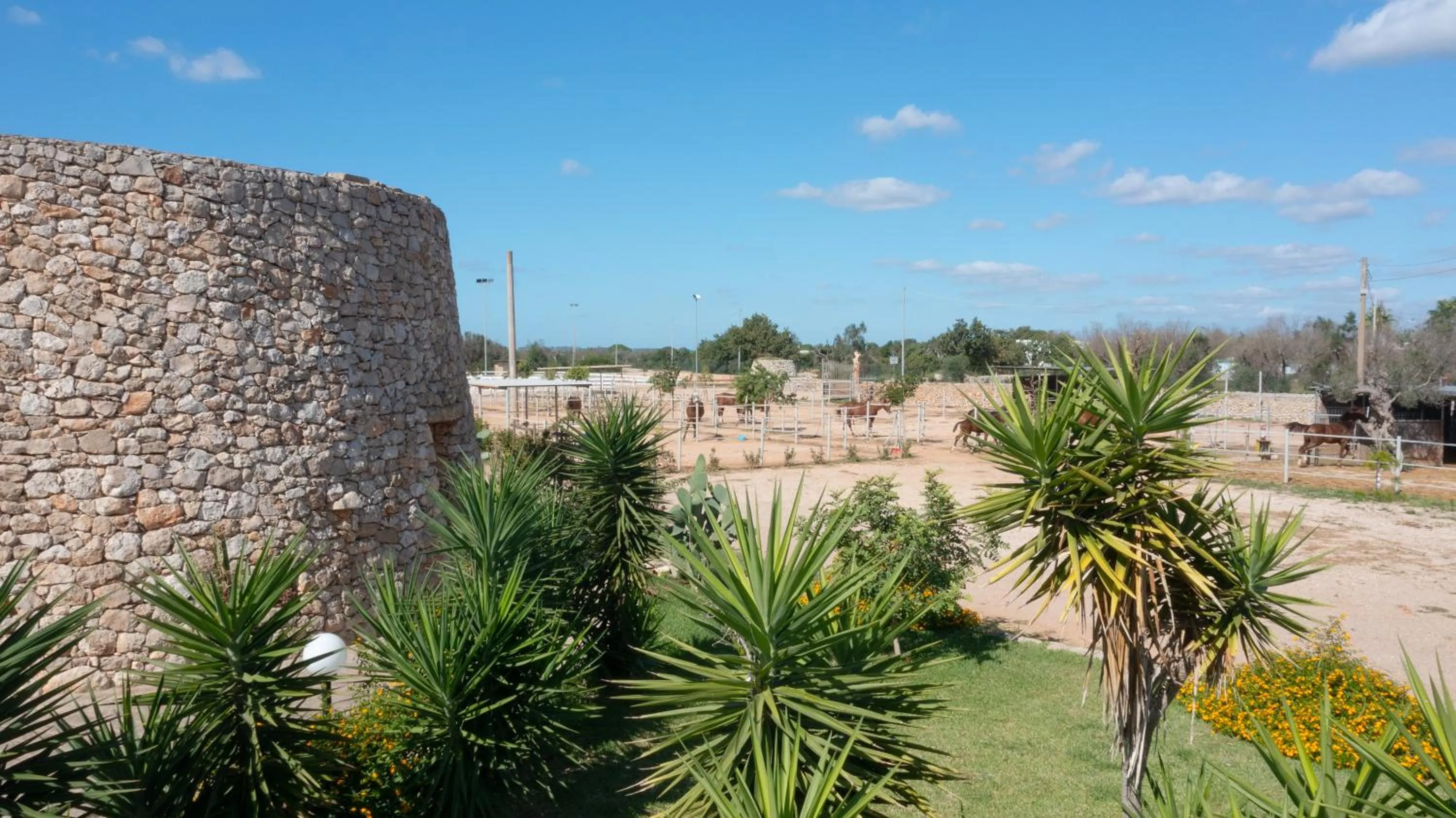 Property building in Delle Rose, Hotel & Horse Riding