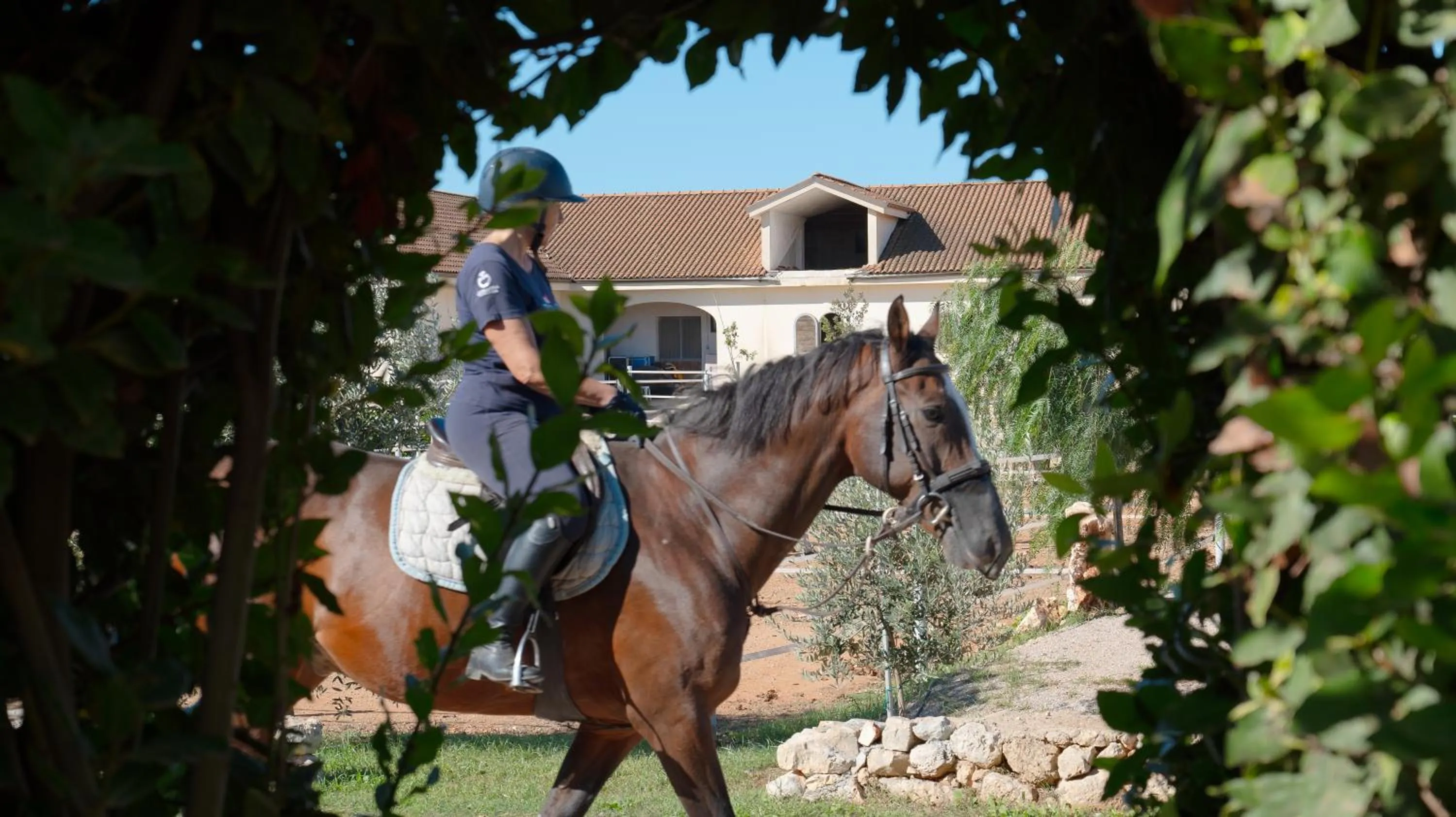 Animals in Delle Rose, Hotel & Horse Riding