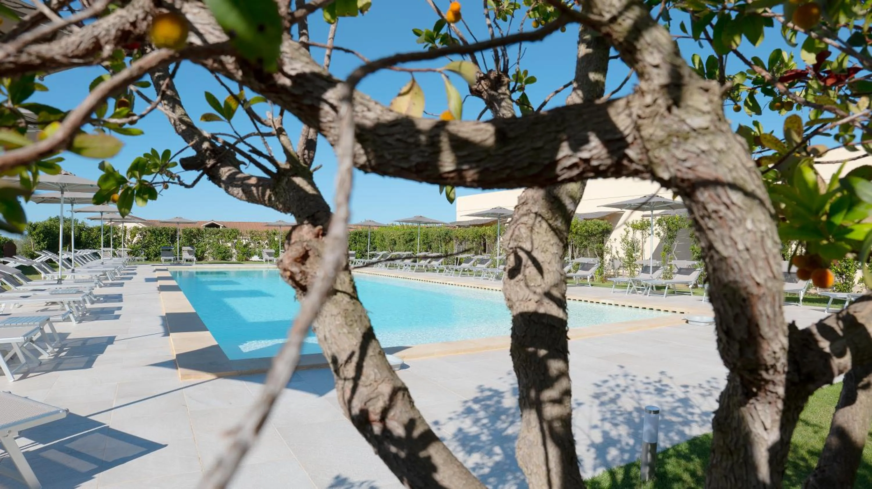 Swimming pool in Delle Rose, Hotel & Horse Riding