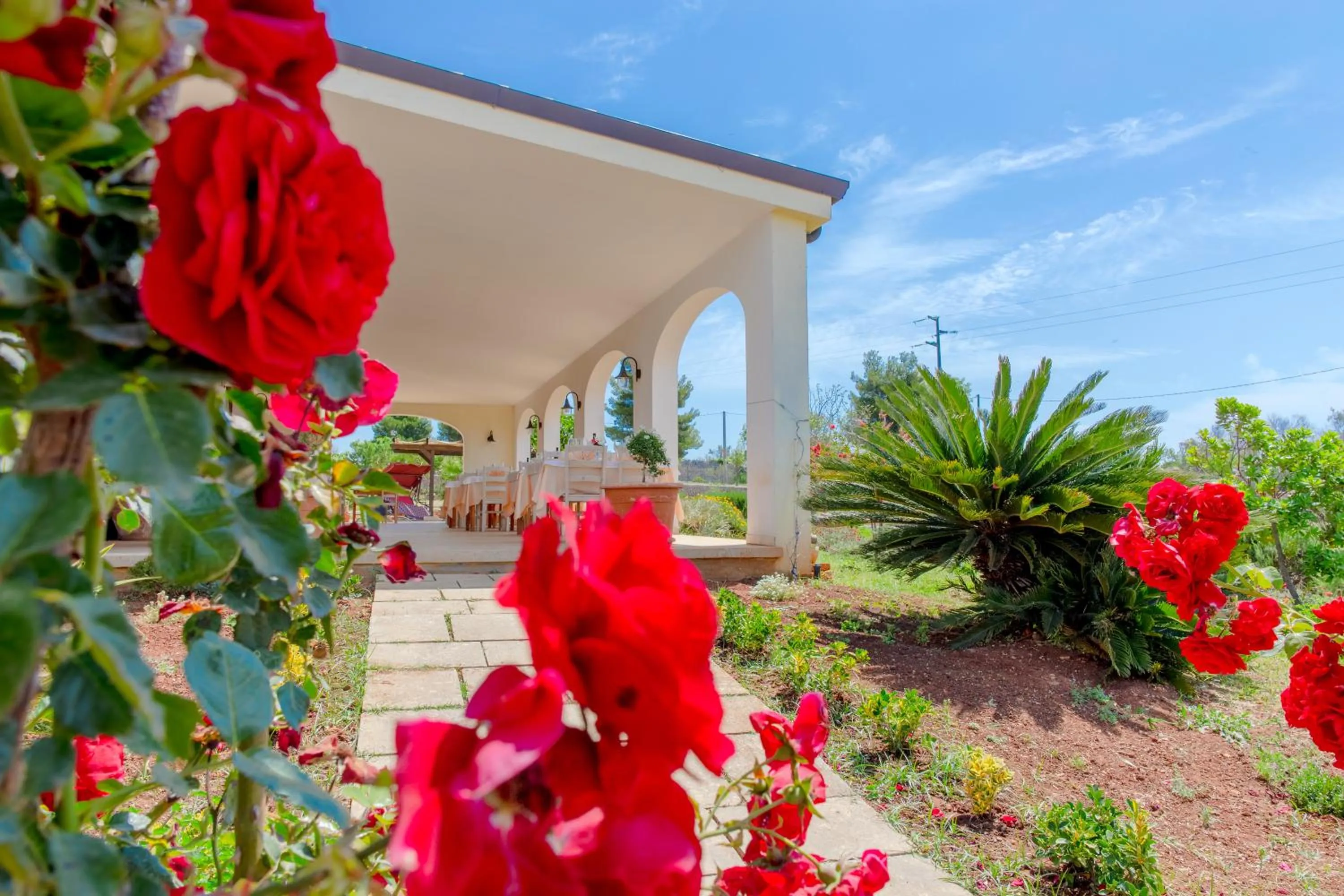 Restaurant/places to eat in Delle Rose, Hotel & Horse Riding