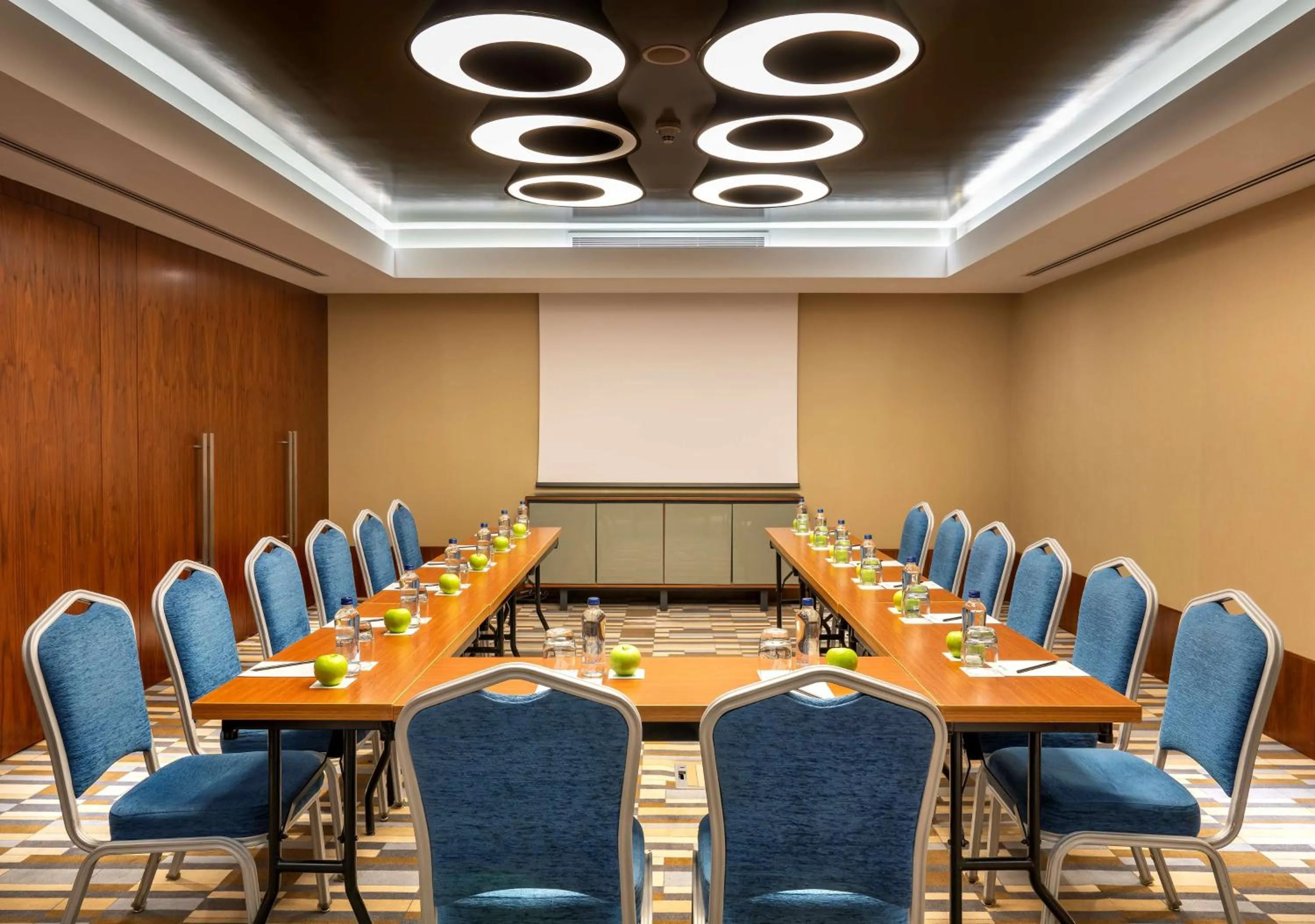 Business facilities in Radisson Blu Hotel Istanbul Asia