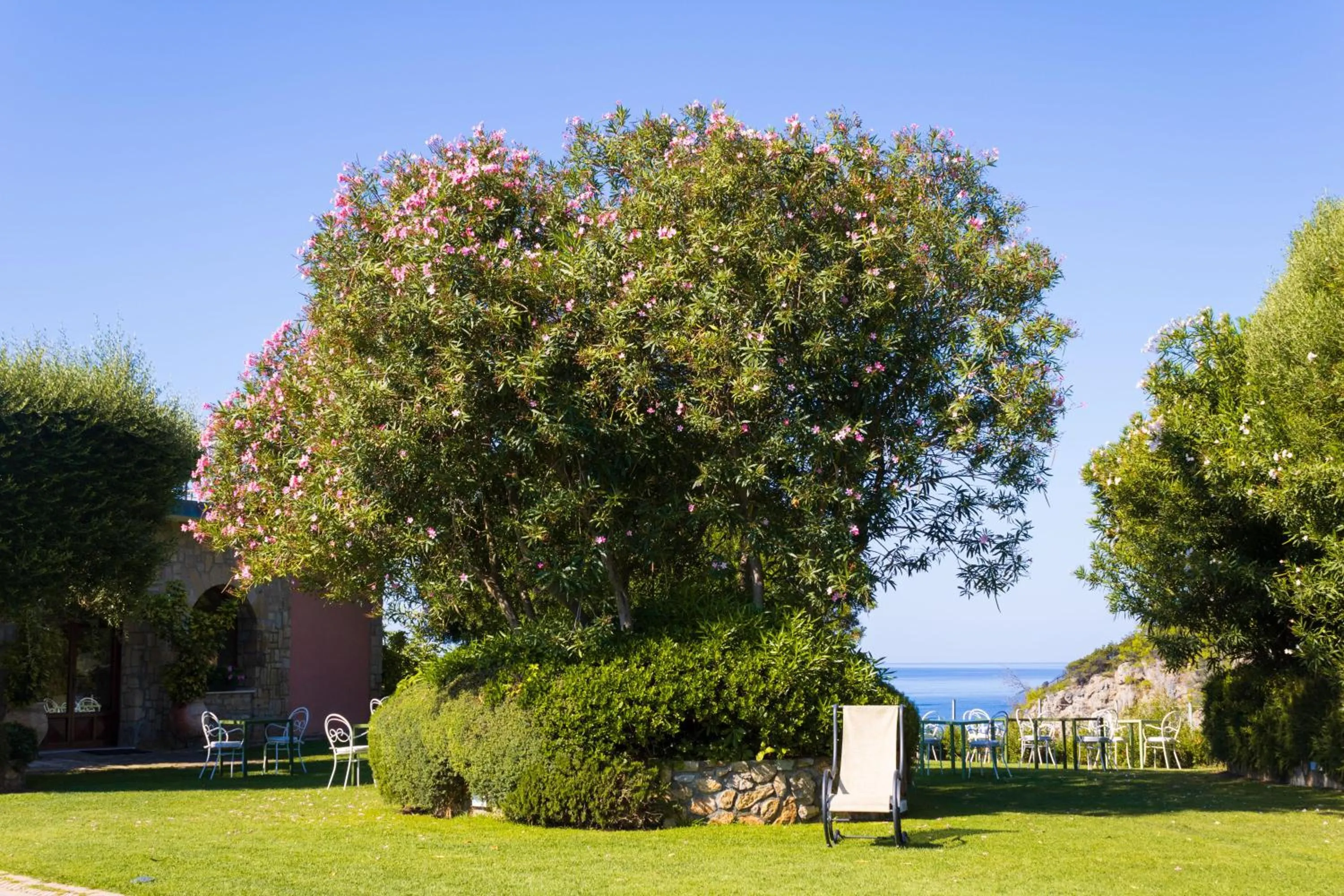 Garden in Hotel Capo D'Uomo