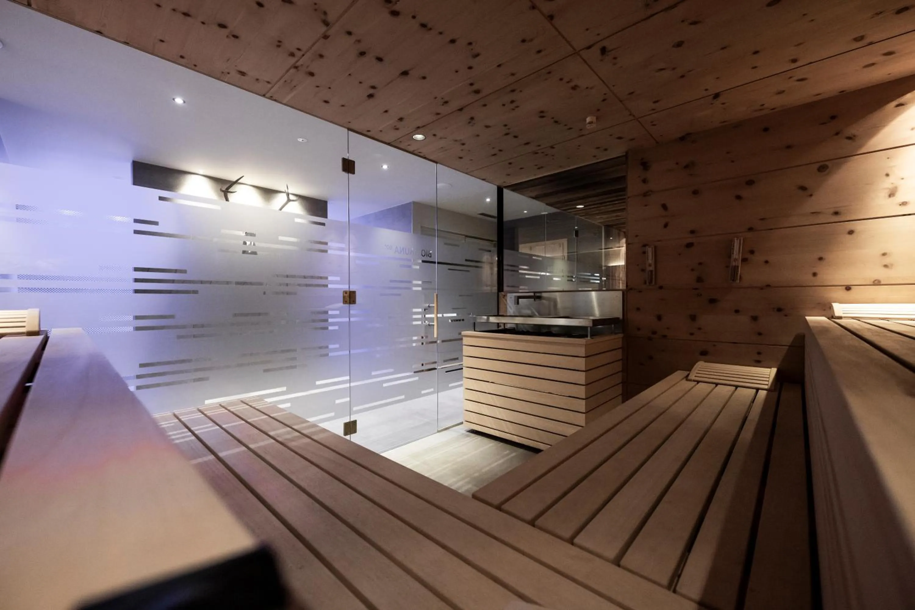 Sauna in Hotel Viertler