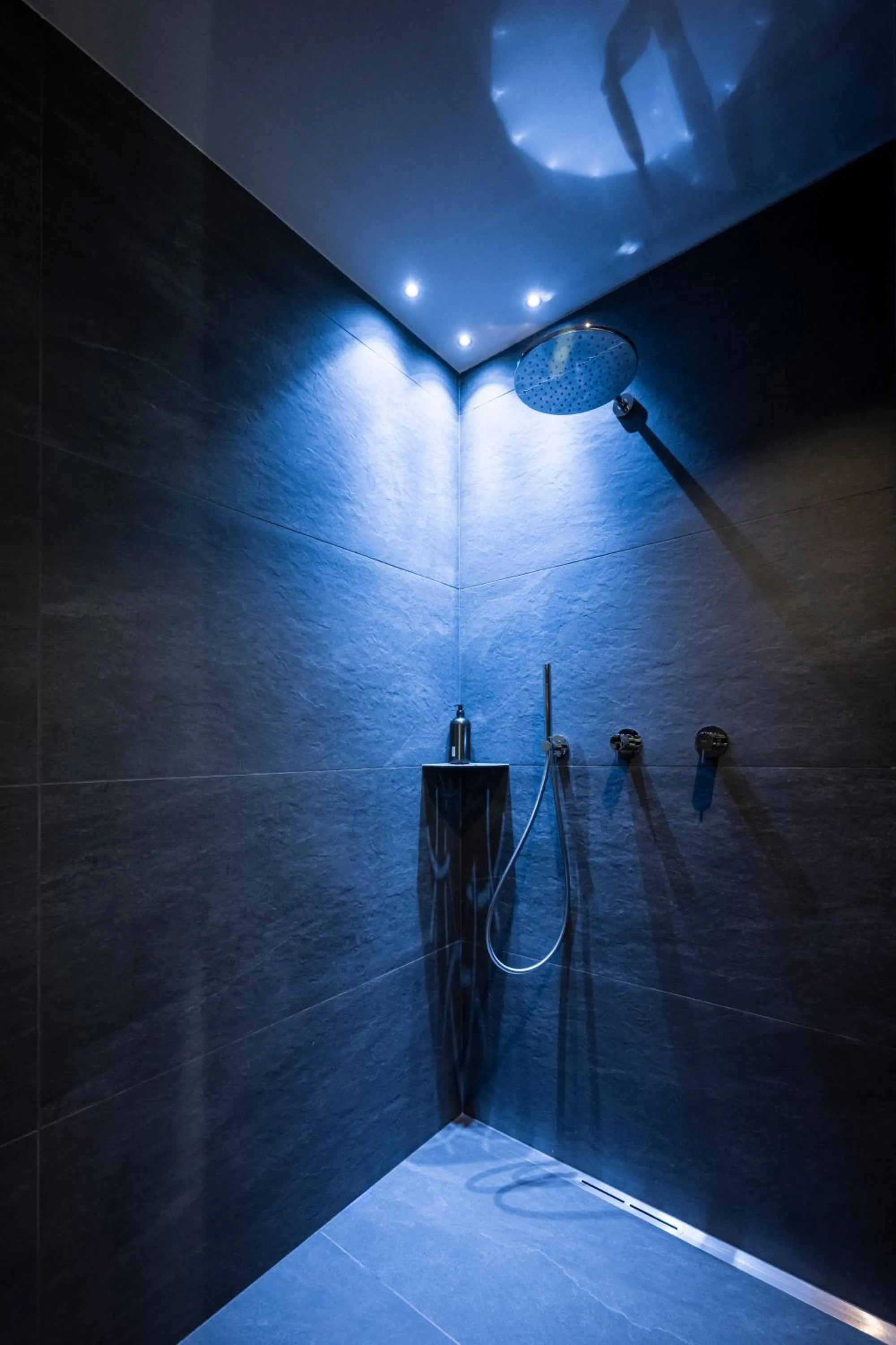 Shower in Hotel Viertler