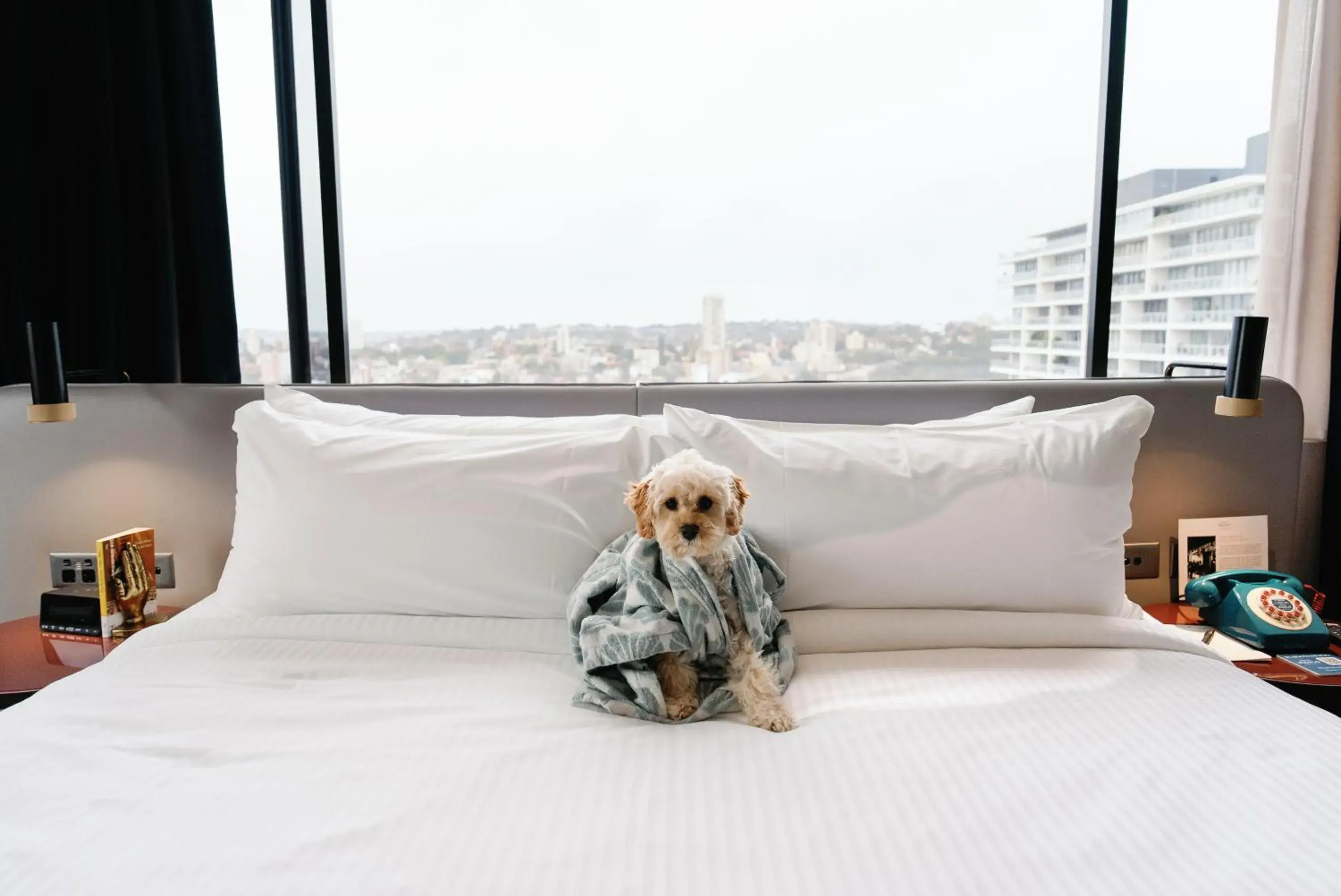 Bedroom, Bed in Hotel Indigo Sydney Potts Point by IHG Bedroom, Bed in Hotel Indigo Sydney Potts Point by IHG