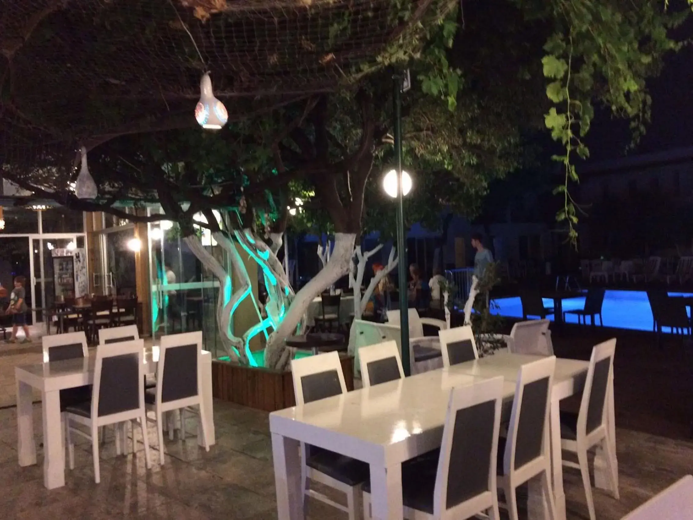 Restaurant/places to eat in Delfi Hotel Spa & Wellness Center Restaurant/places to eat in Delfi Hotel Spa & Wellness Center