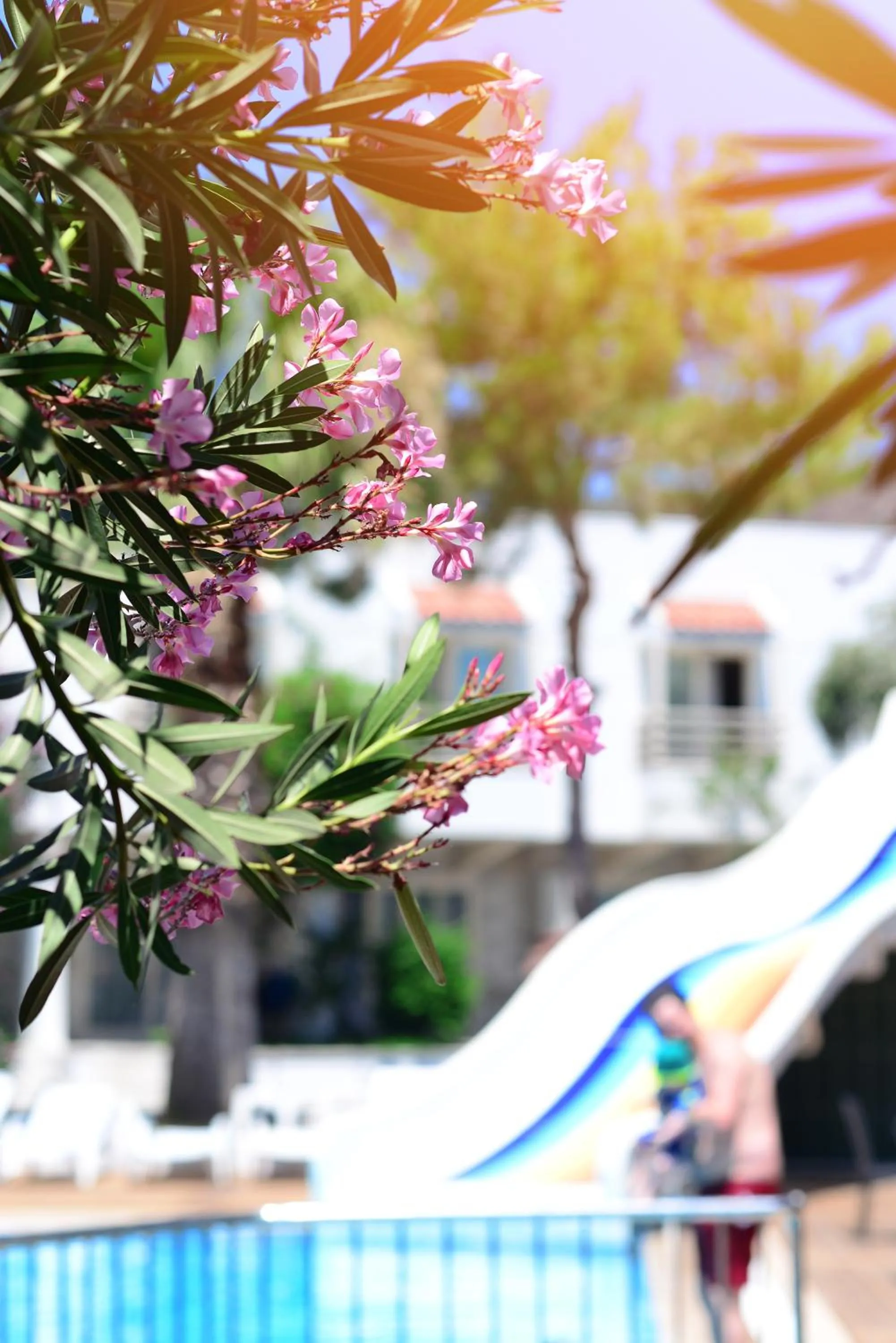 Property building in Delfi Hotel Spa & Wellness Center