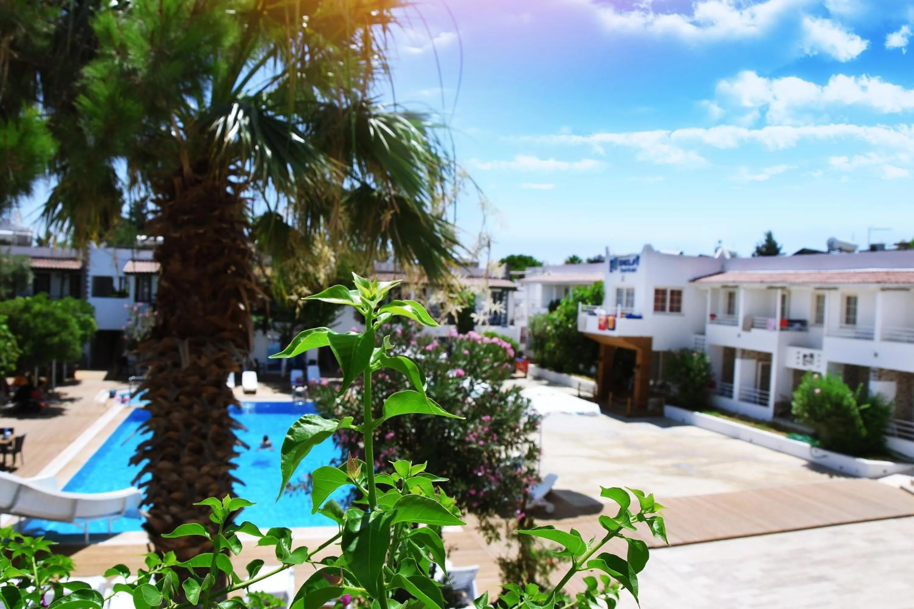 Garden in Delfi Hotel Spa & Wellness Center