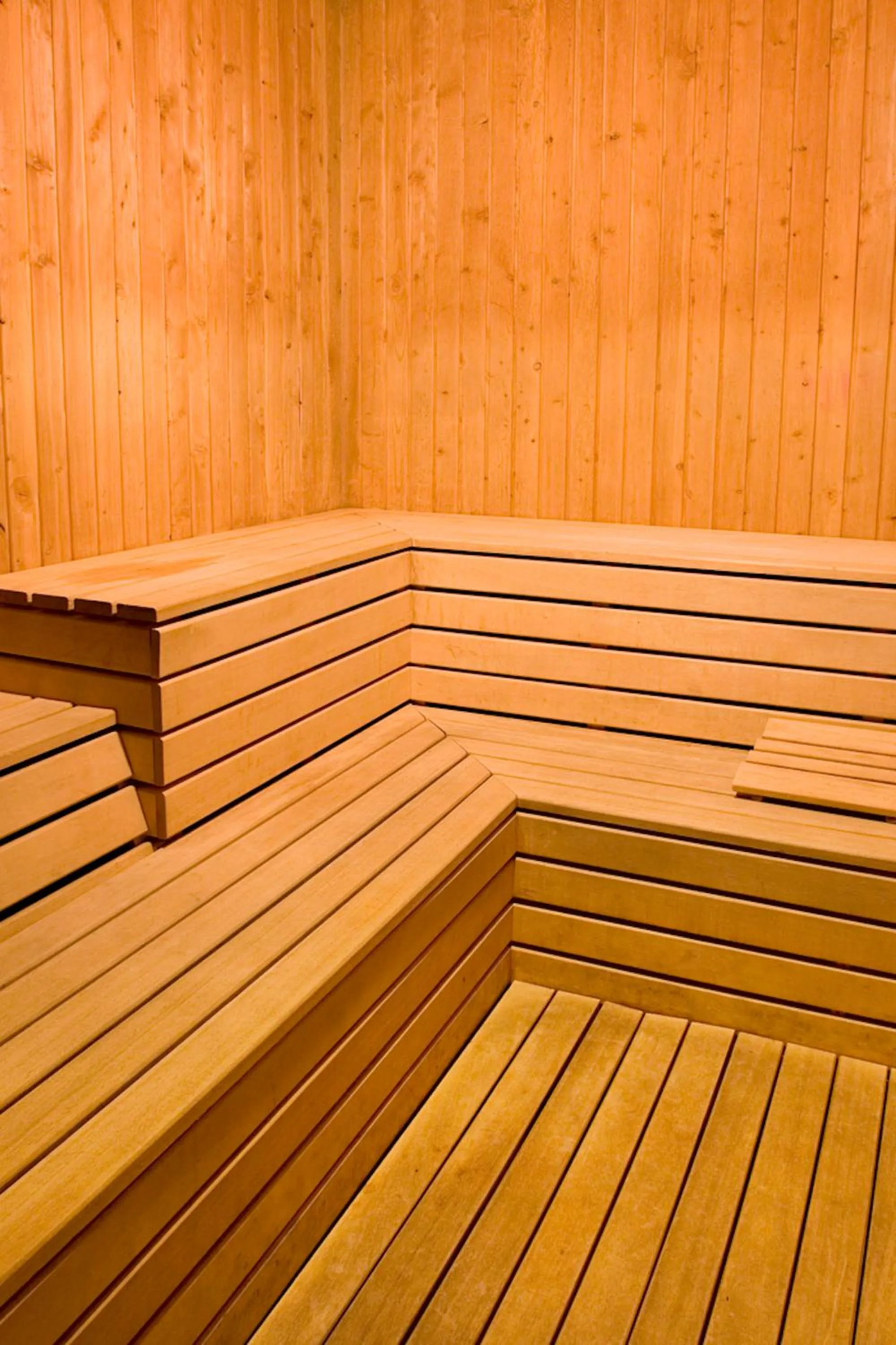 Sauna in Delfi Hotel Spa & Wellness Center