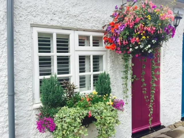 Facade/entrance in The Swan Inn