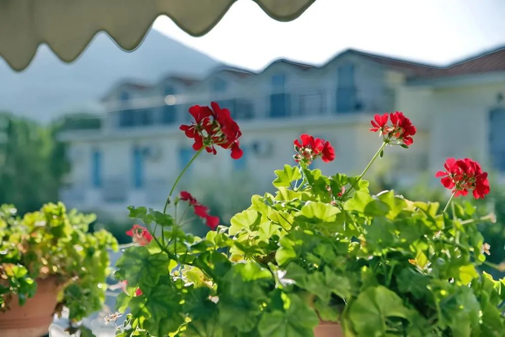 Theofilos Classic Hotel