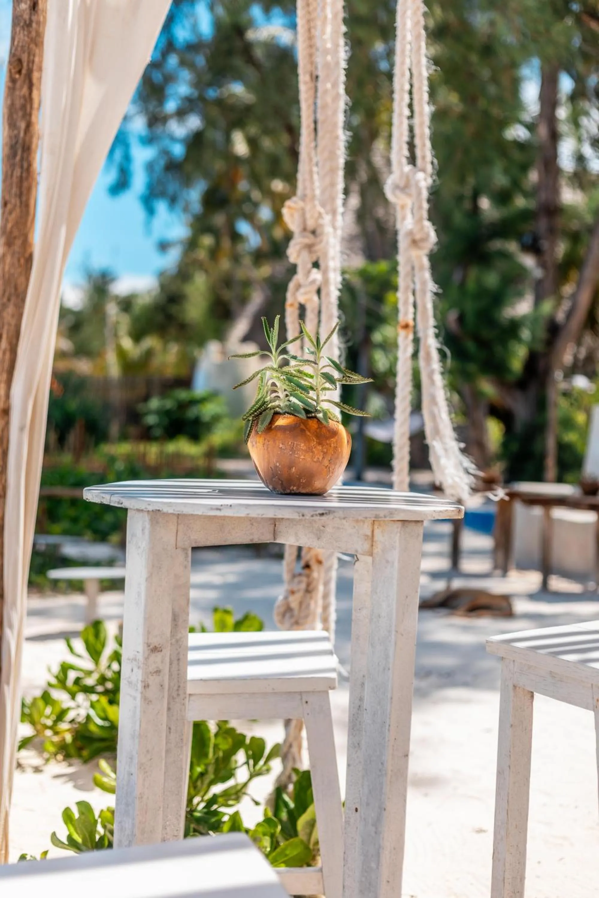 Restaurant/places to eat in B4 Beach Club