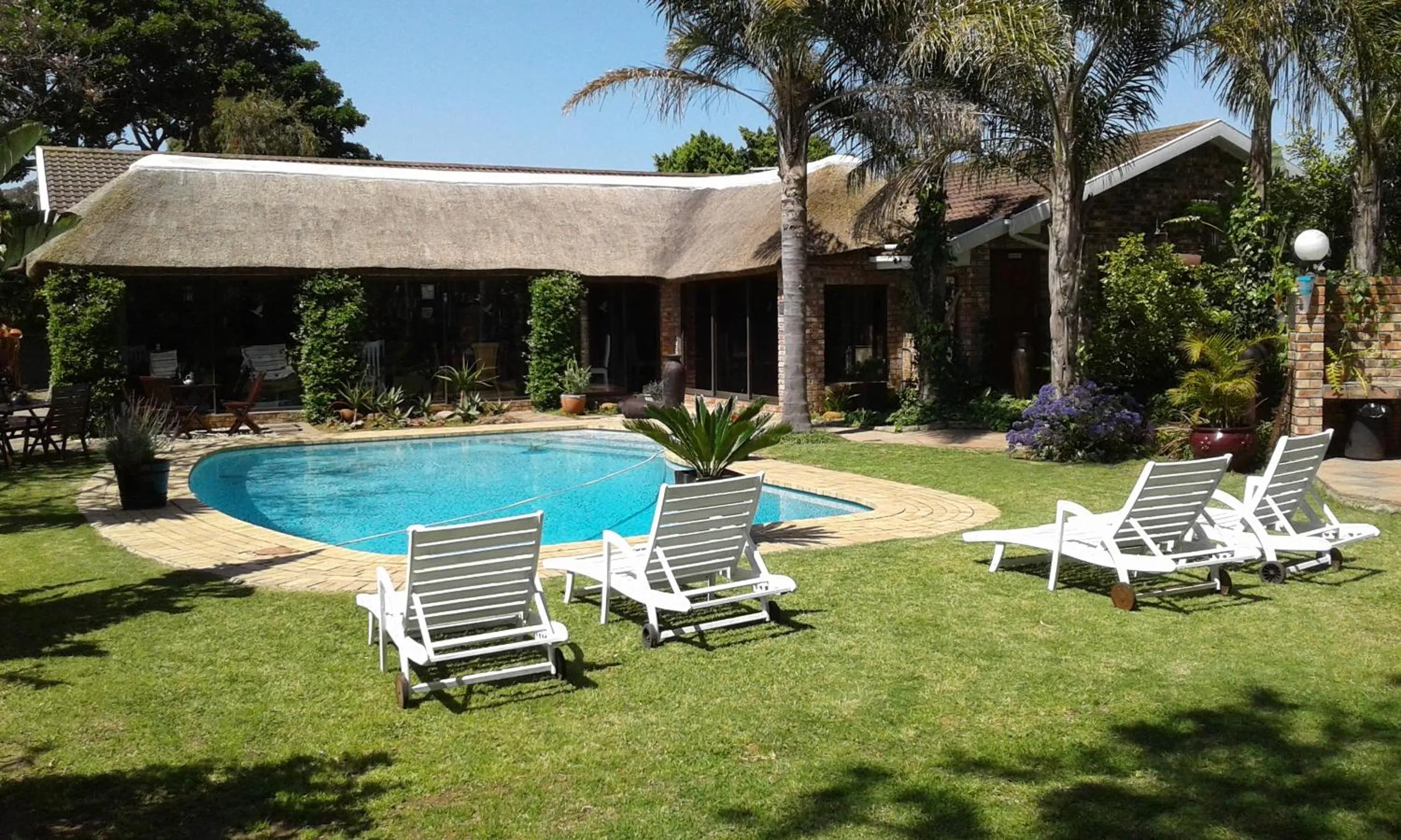 Swimming pool in Amani Guest Lodge