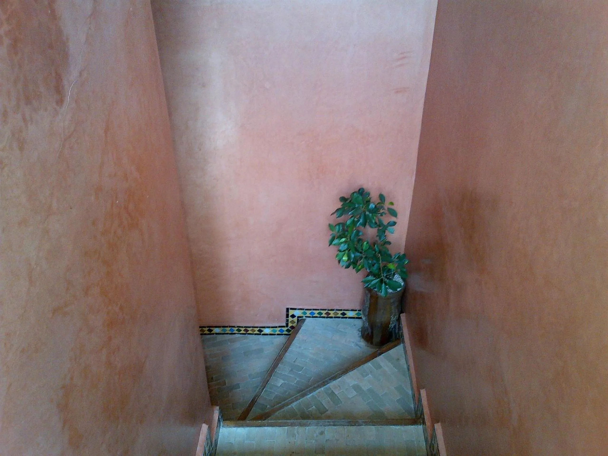 Other in Riad Lila